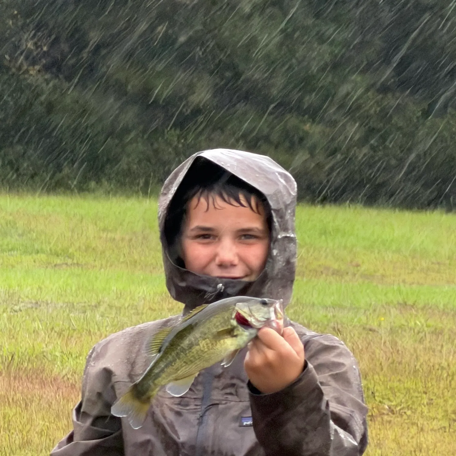 Common dolphinfish caught on Fishbrain