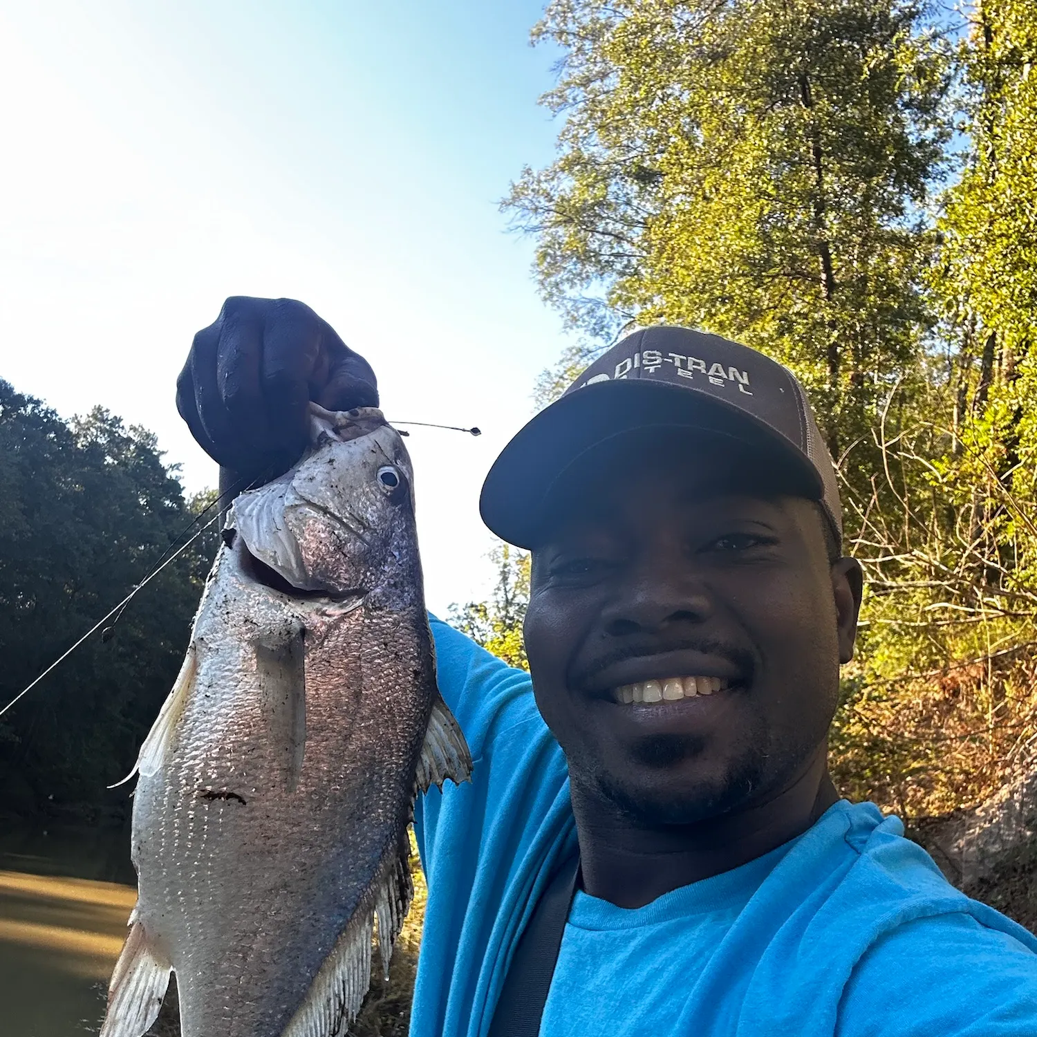Freshwater drum caught on Fishbrain