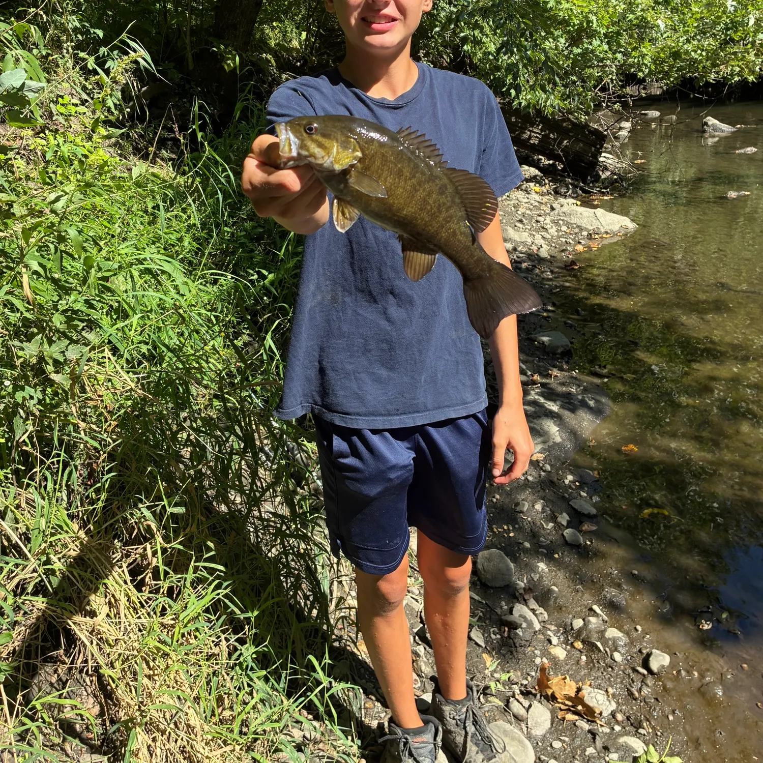 Smallmouth bass caught on Fishbrain