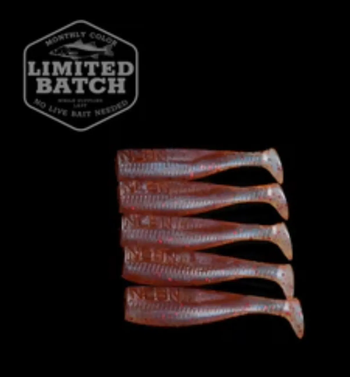 3 Inch Paddle Tail