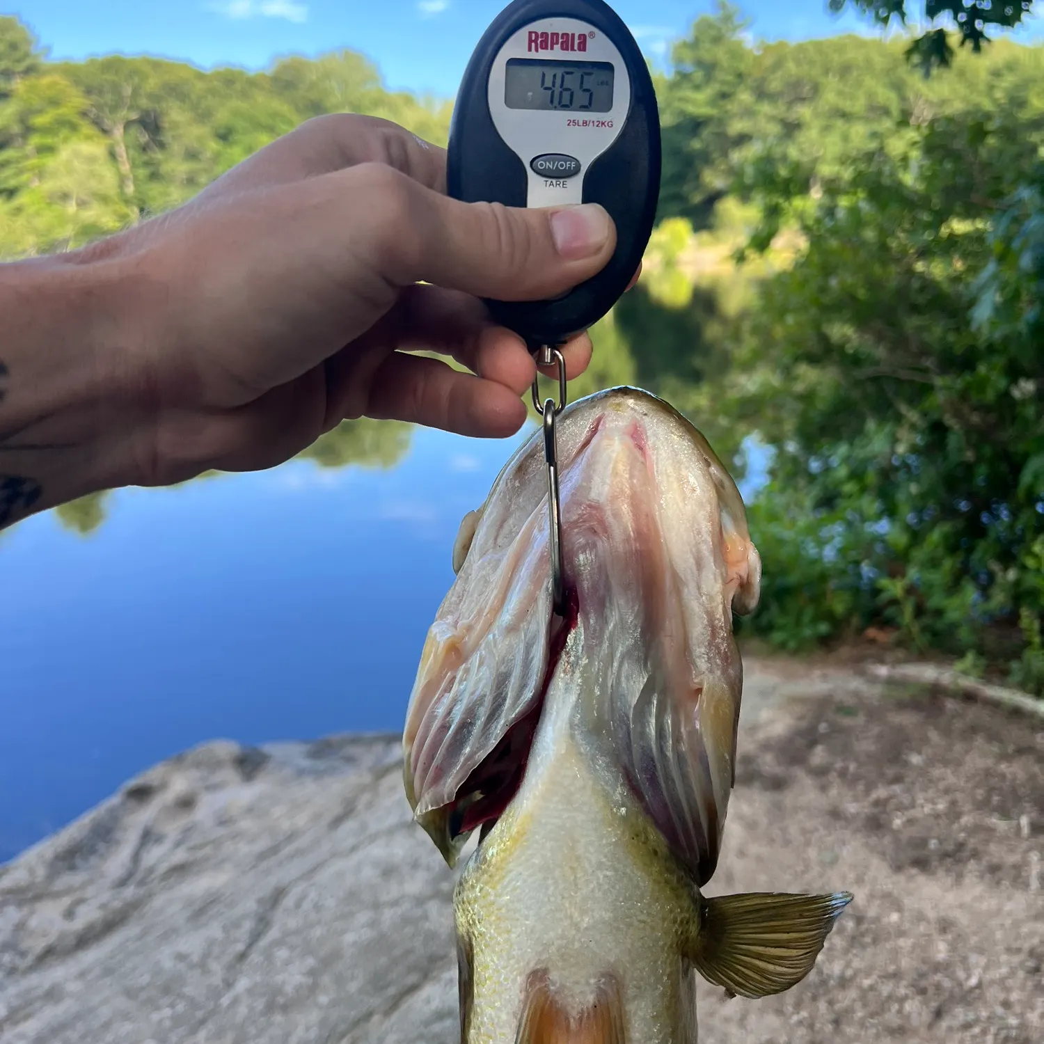 catch