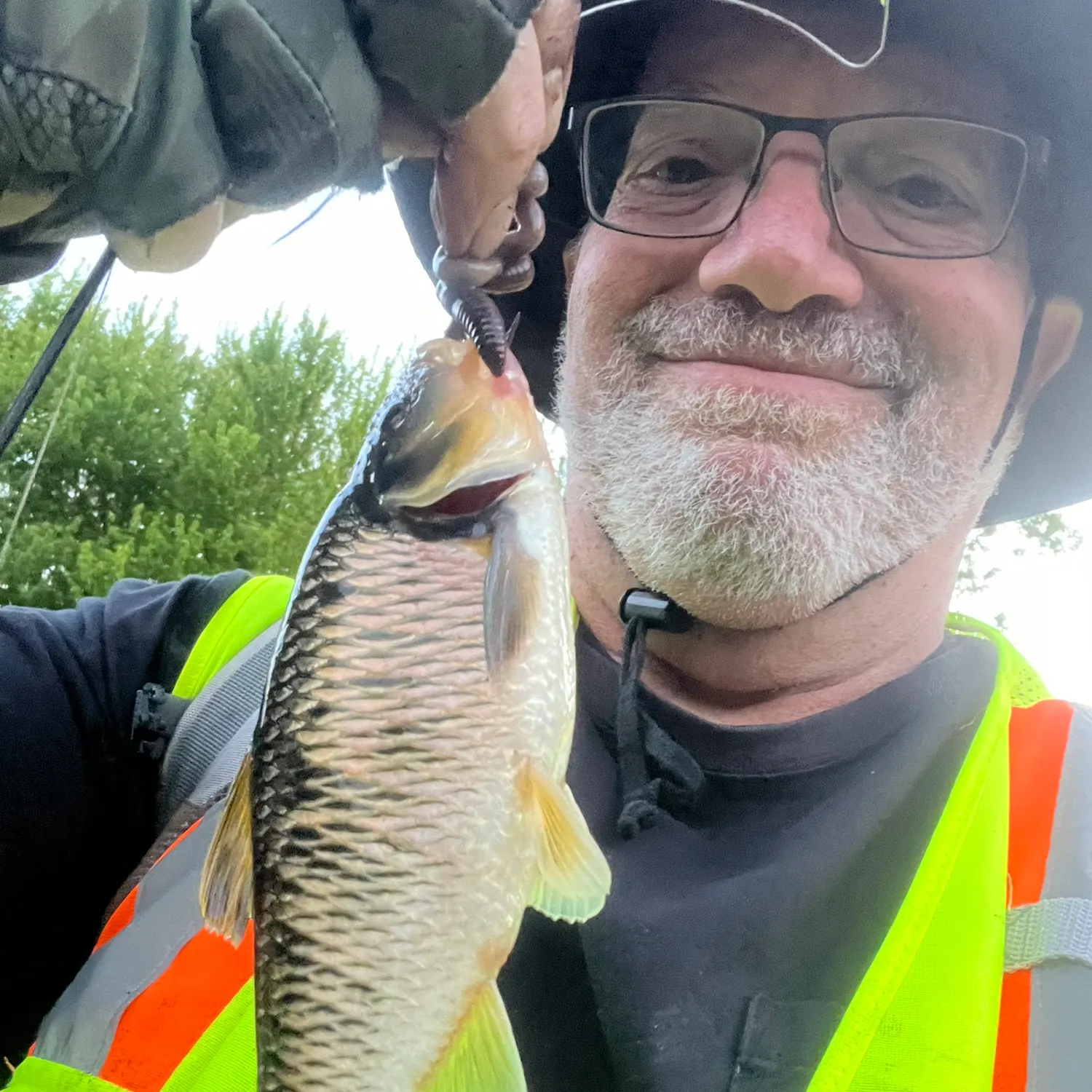 The most recent Striped shiner catches on Fishbrain