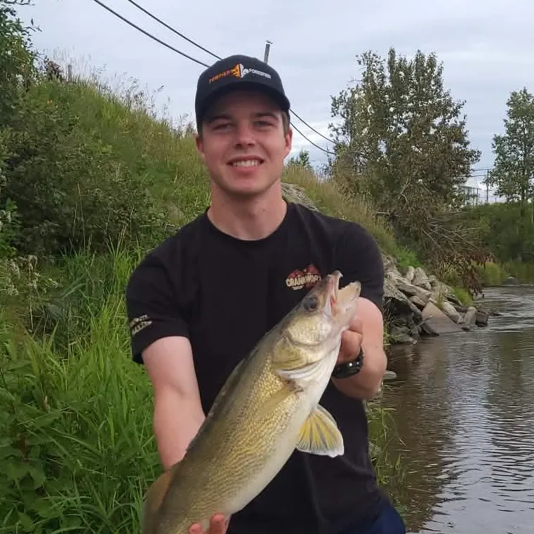 Walleye caught on Fishbrain
