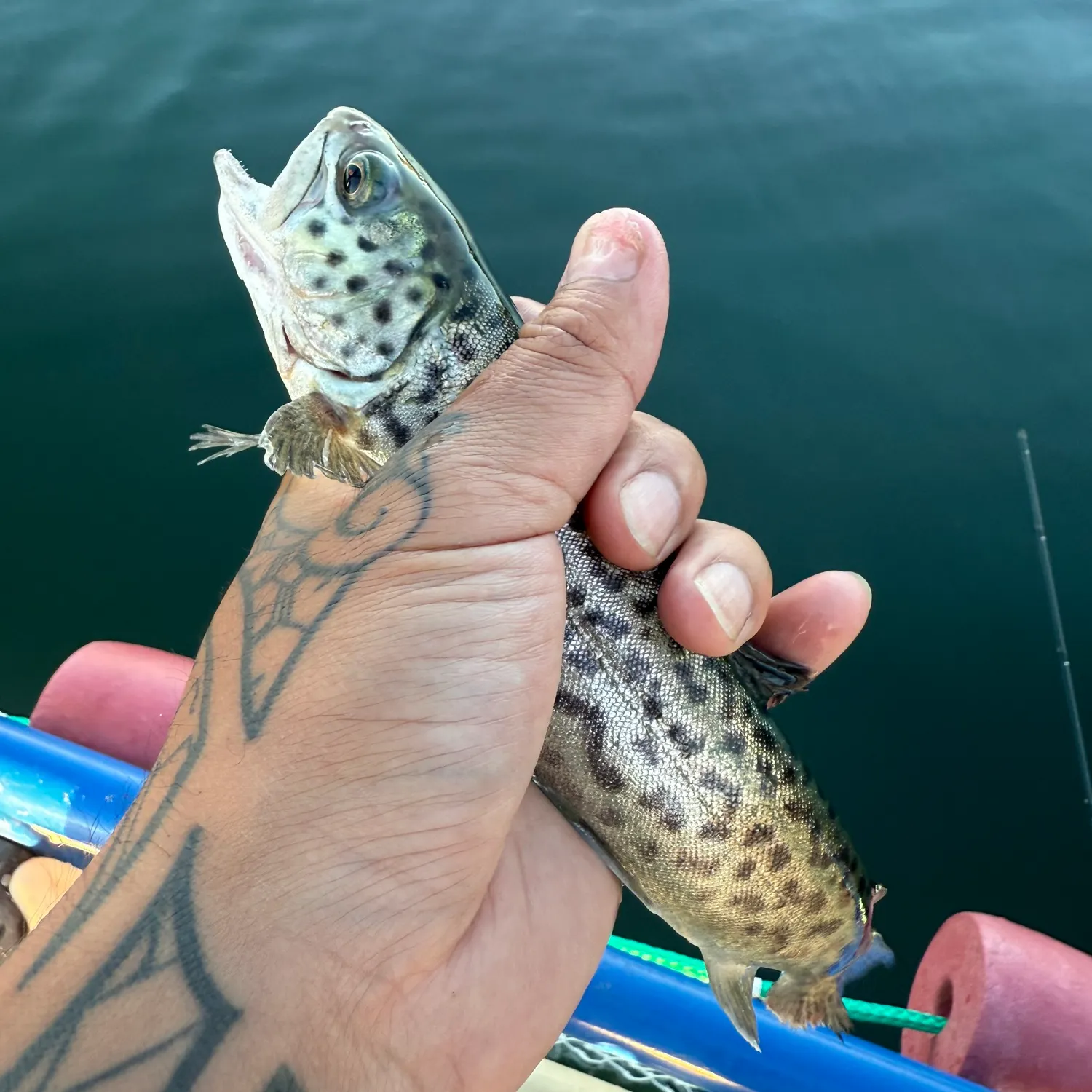 most liked catch image