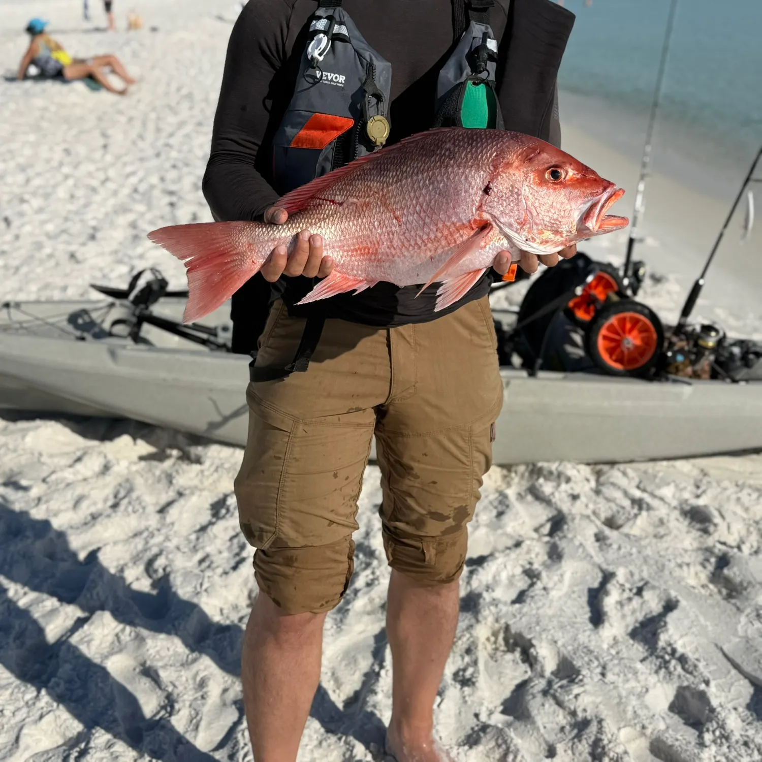 The most recent Northern red snapper catches on Fishbrain