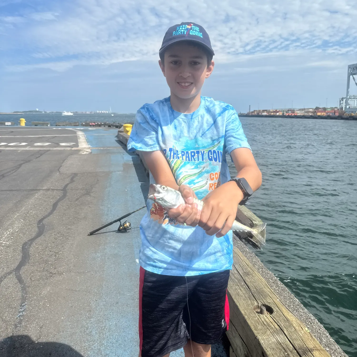 Atlantic mackerel caught on Fishbrain