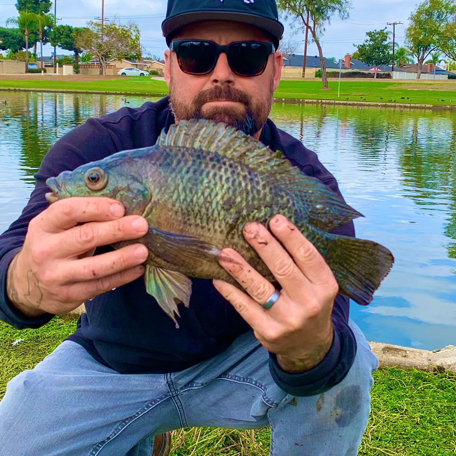 The most recent Blue tilapia catches on Fishbrain