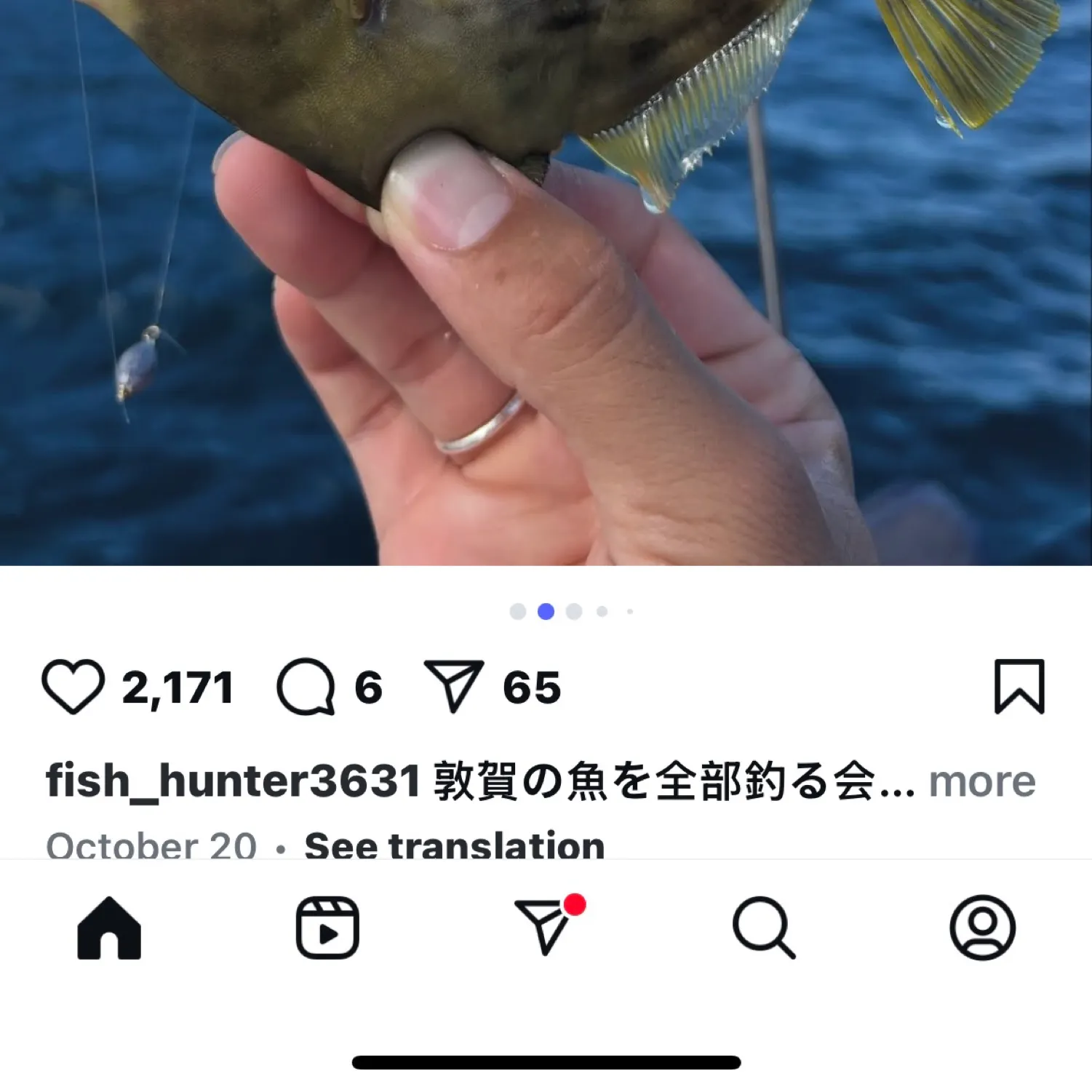 recently logged catches