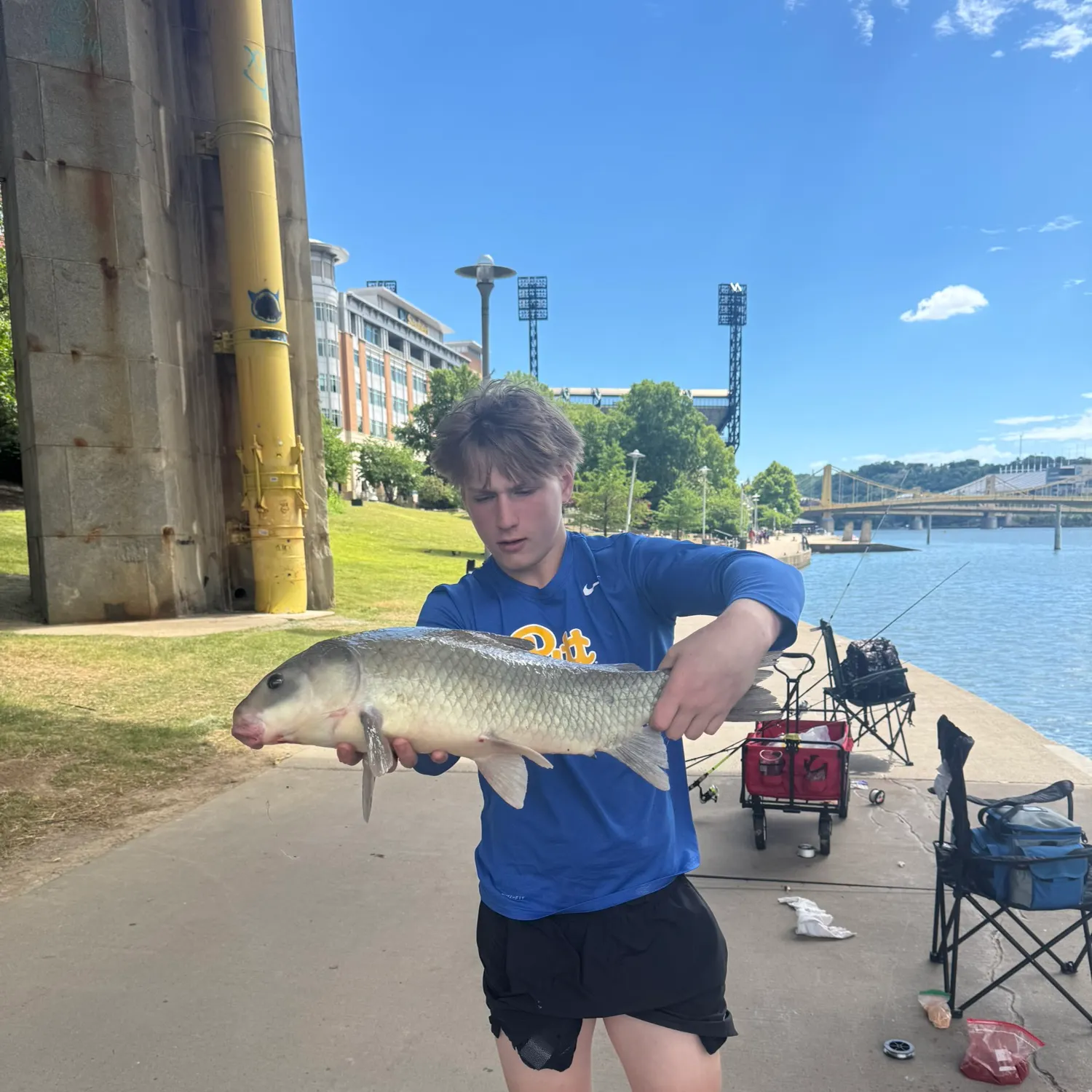 The most recent Smallmouth buffalo catches on Fishbrain