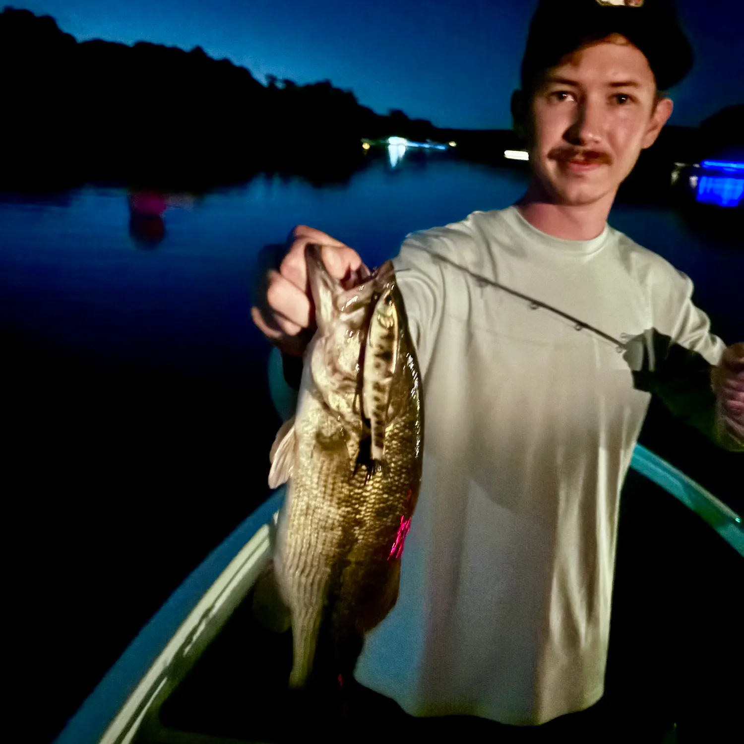 Spotted bass caught on Fishbrain