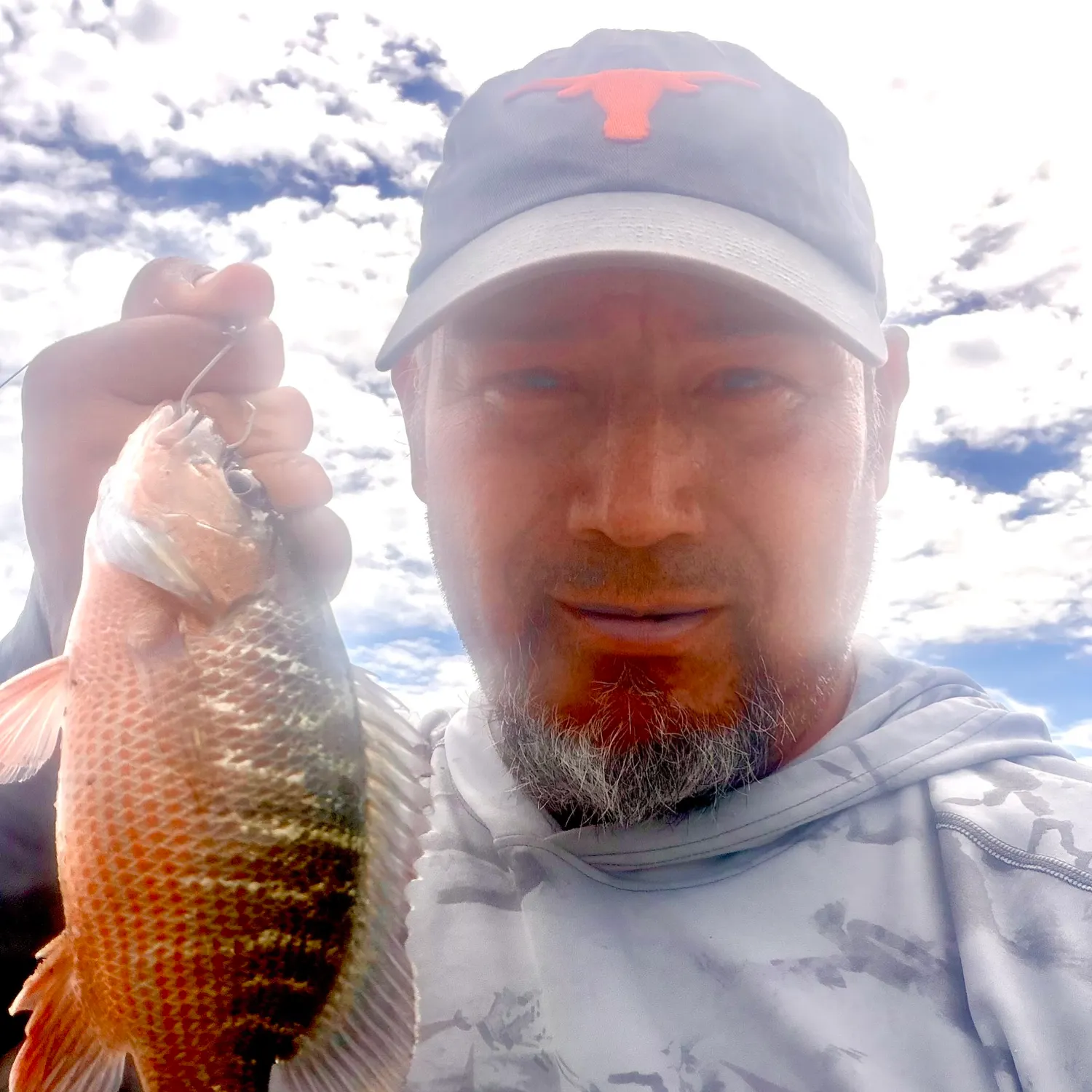 Mangrove snapper caught on Fishbrain