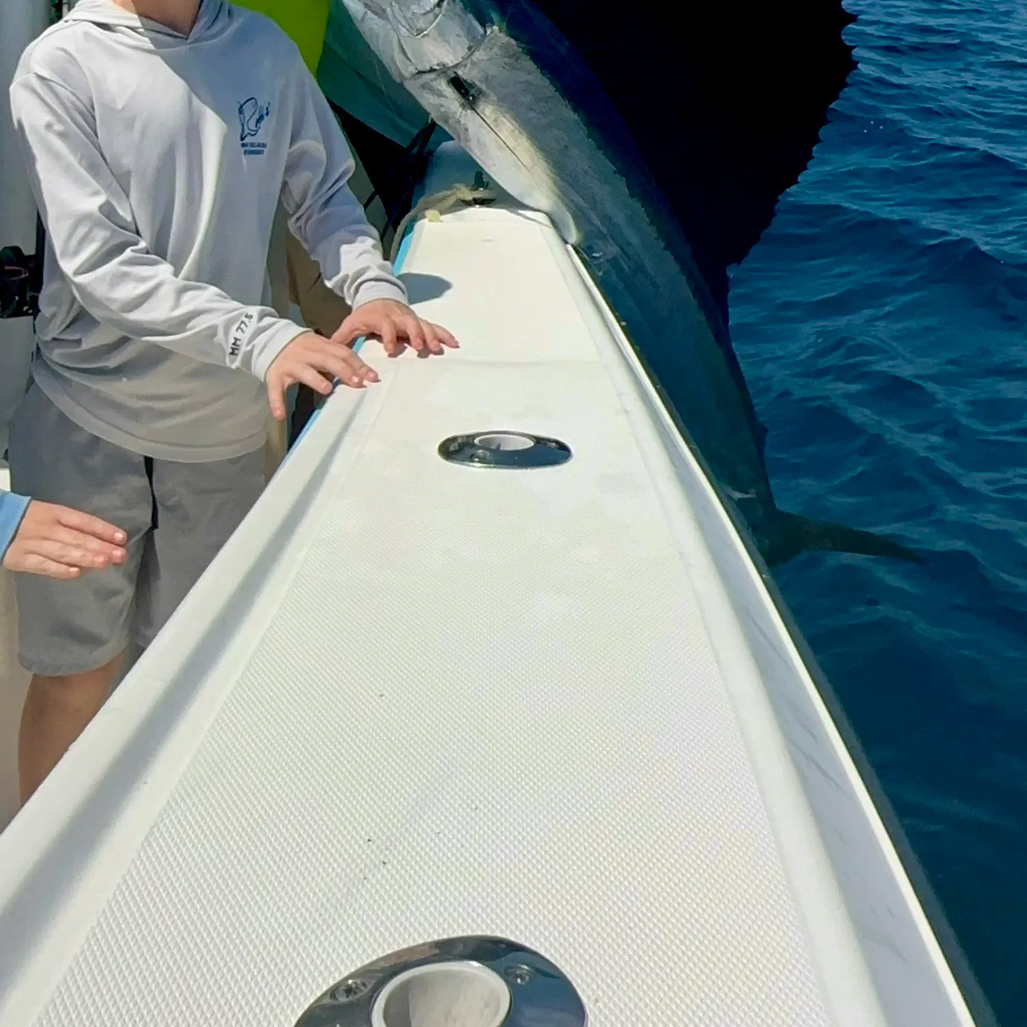 The most recent Atlantic sailfish catches on Fishbrain
