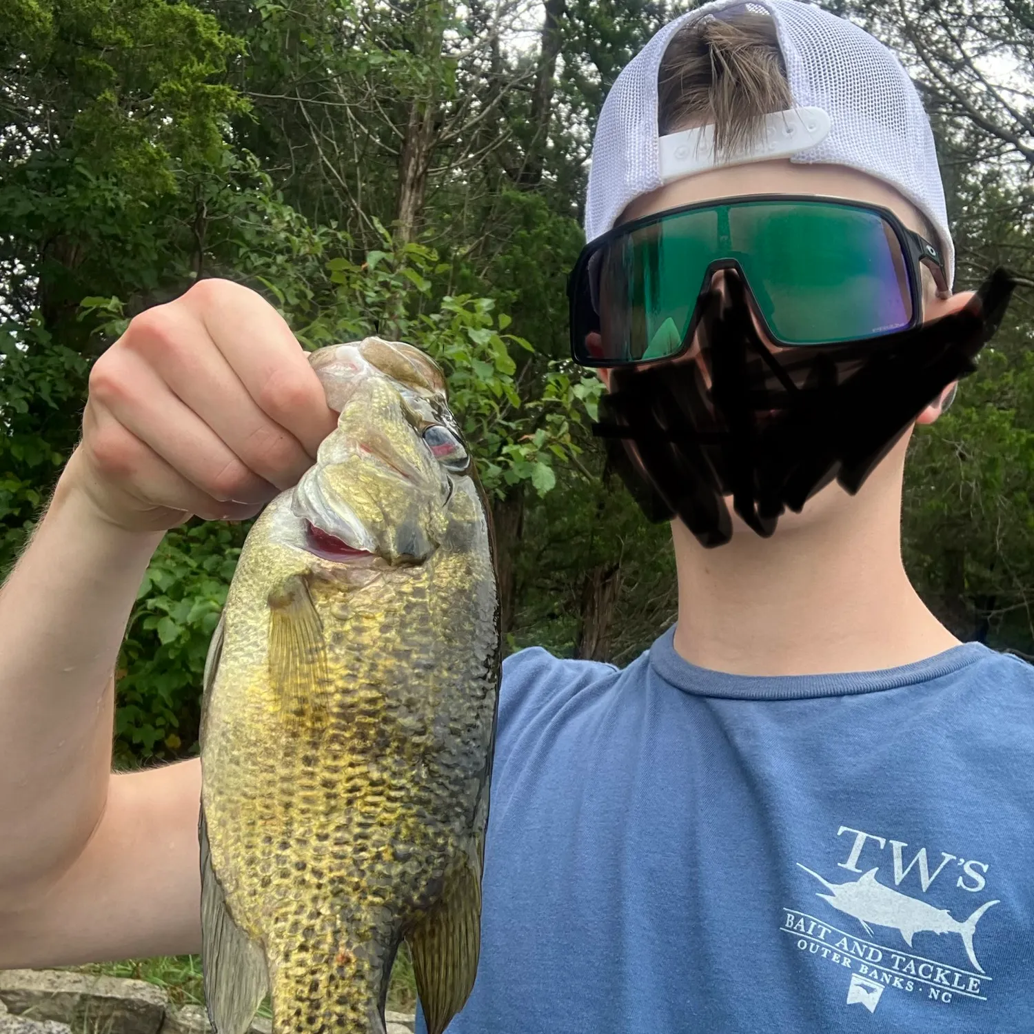 Rock bass caught on Fishbrain