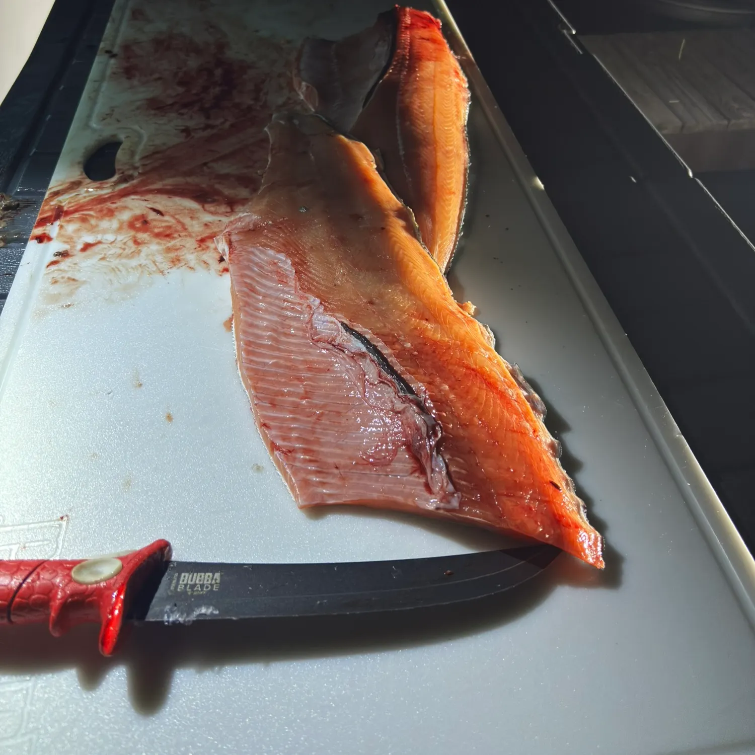 Chinook salmon caught on Fishbrain