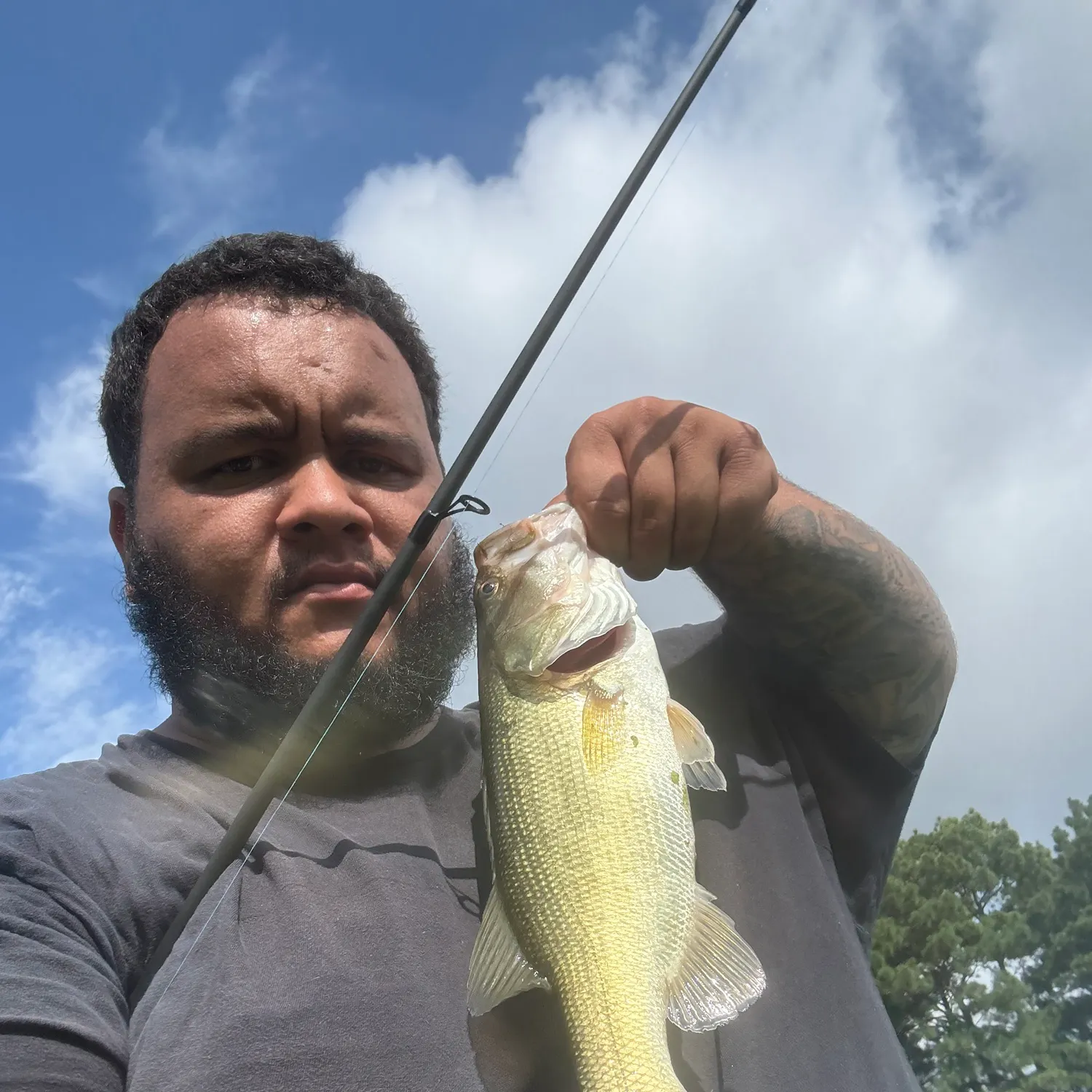 Largemouth bass caught on Fishbrain