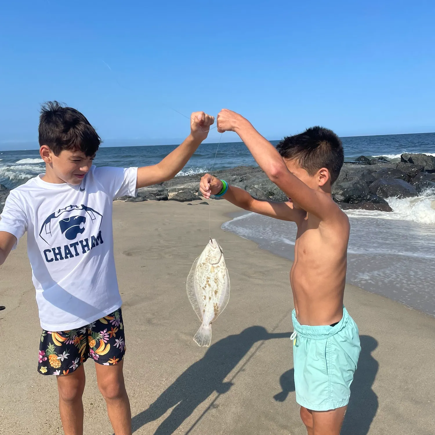 The most recent Summer flounder catches on Fishbrain