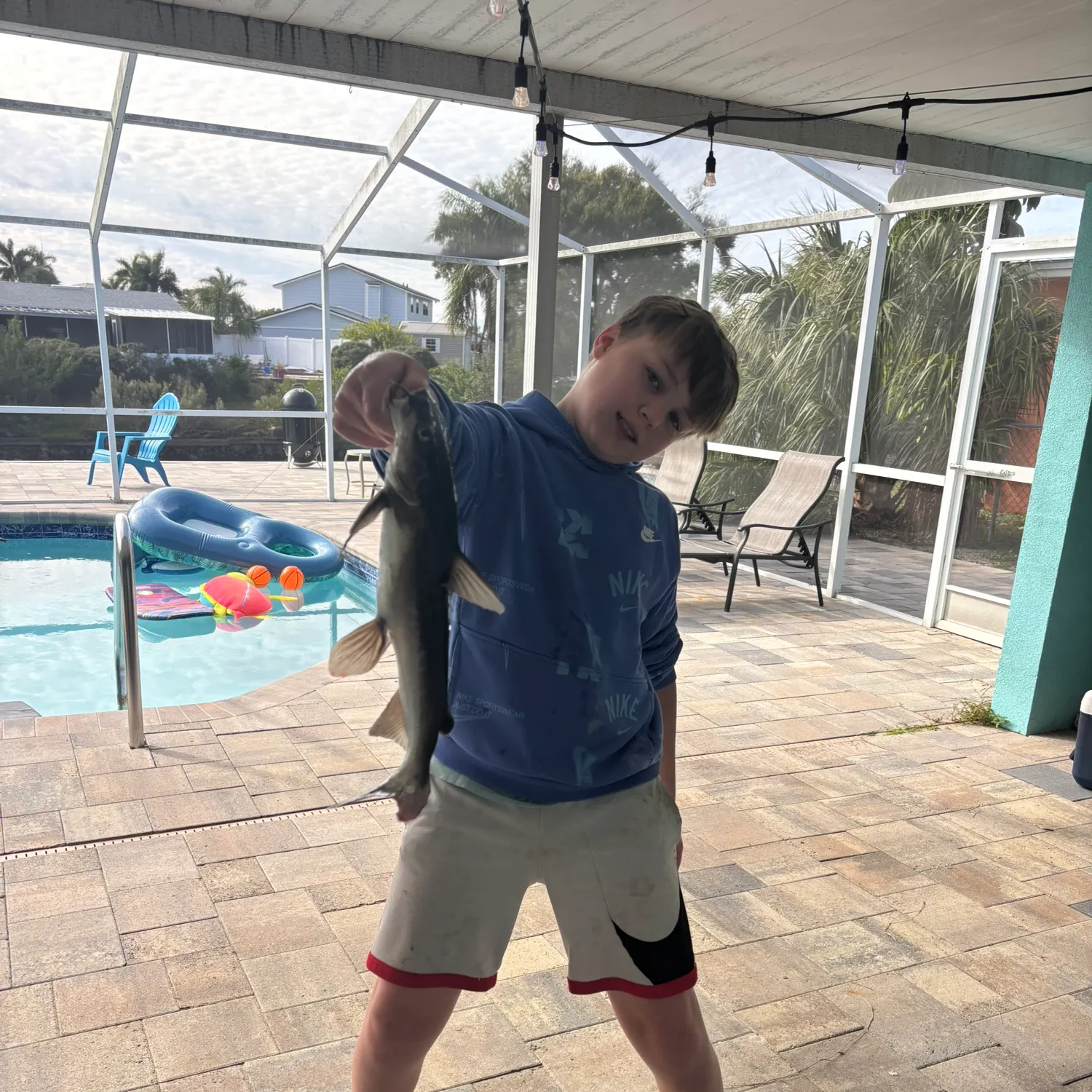 The most recent Hardhead sea catfish catches on Fishbrain