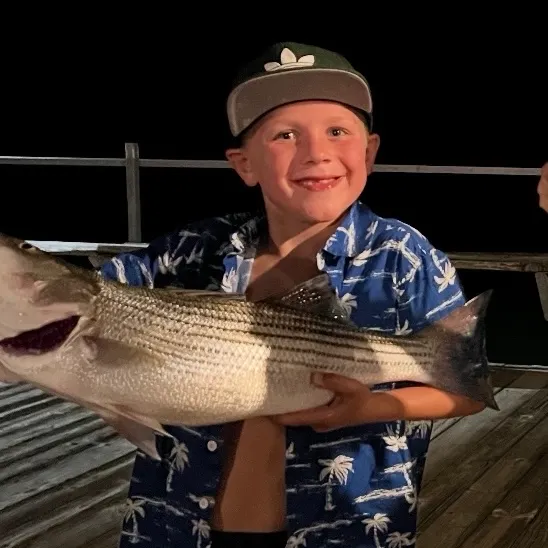 Wiper caught on Fishbrain