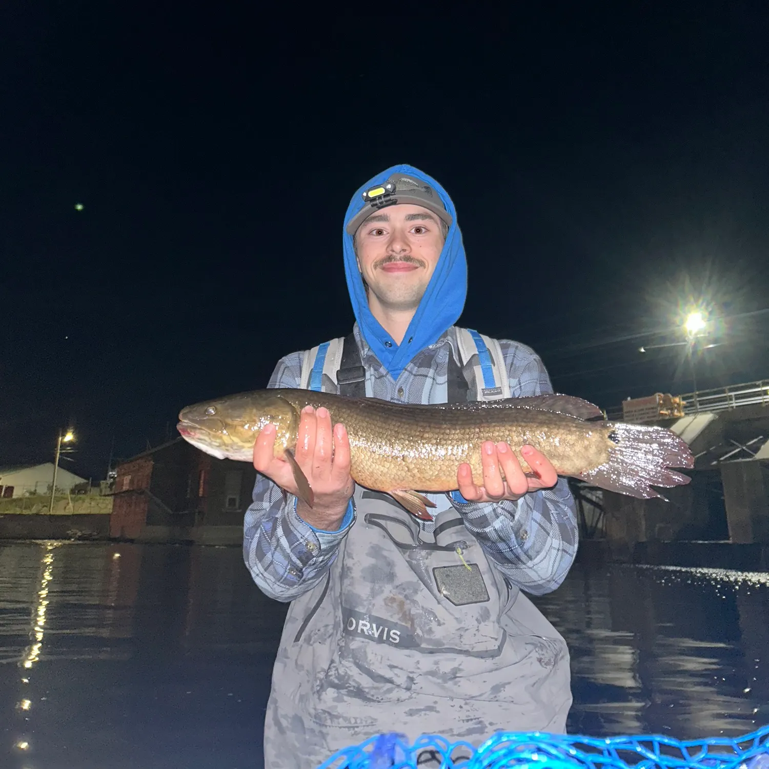 Eyetail bowfin caught on Fishbrain