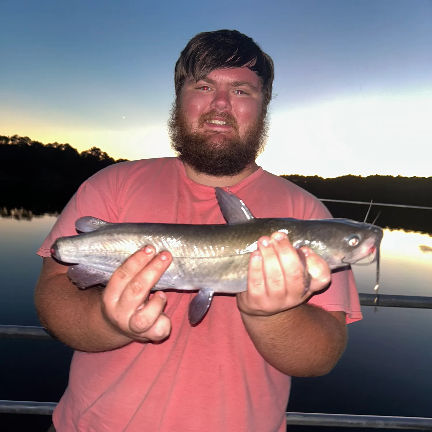 Channel catfish caught on Fishbrain