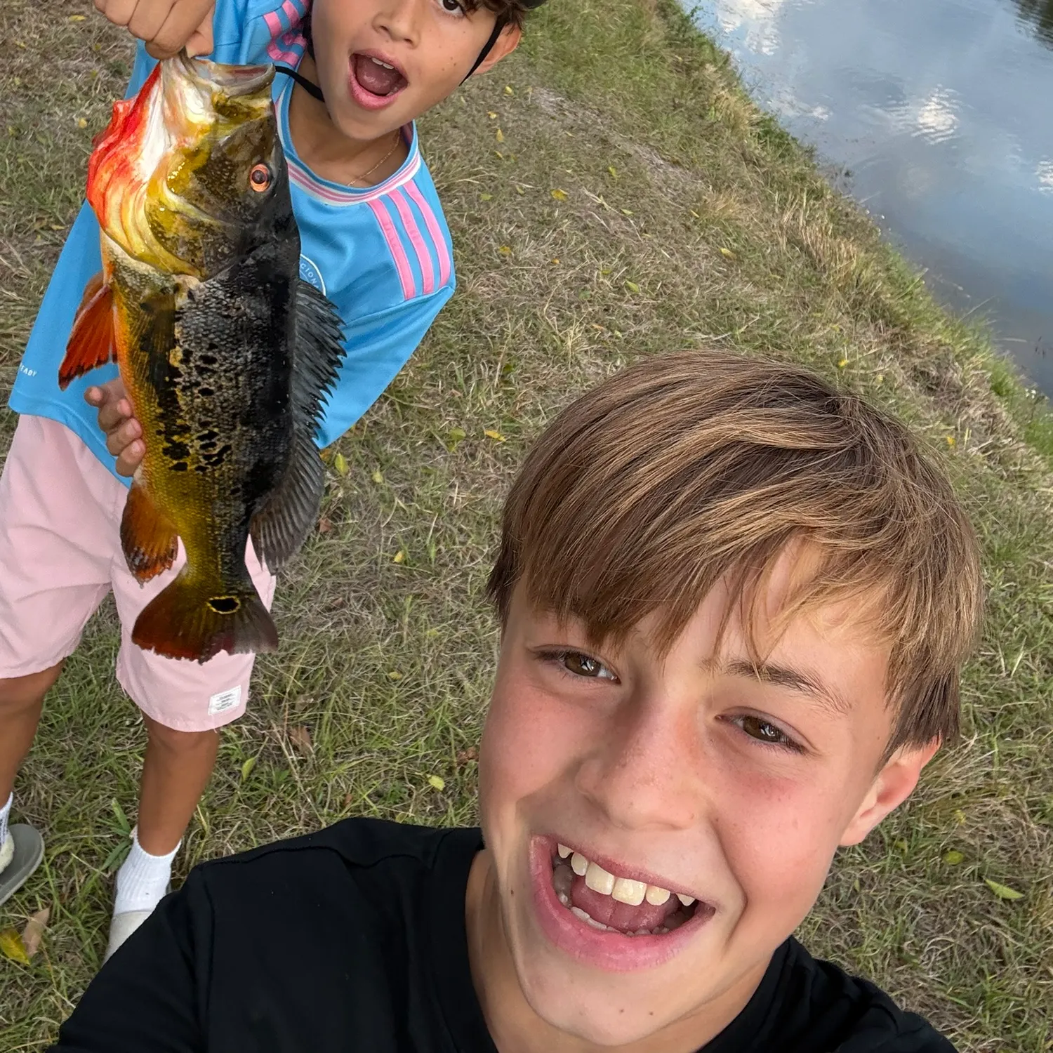 The most recent Jaguar cichlid catches on Fishbrain