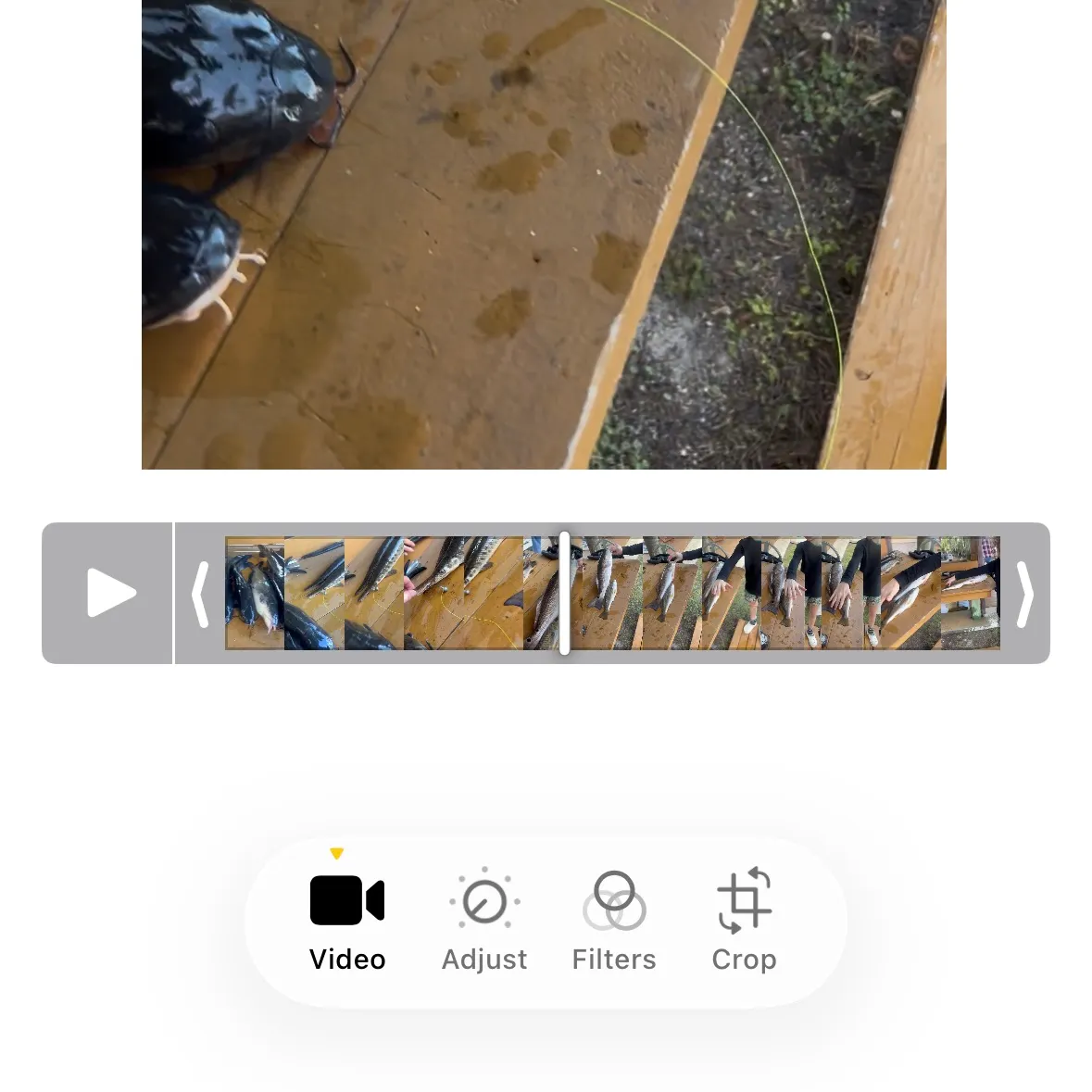 The most recent Red drum catches on Fishbrain