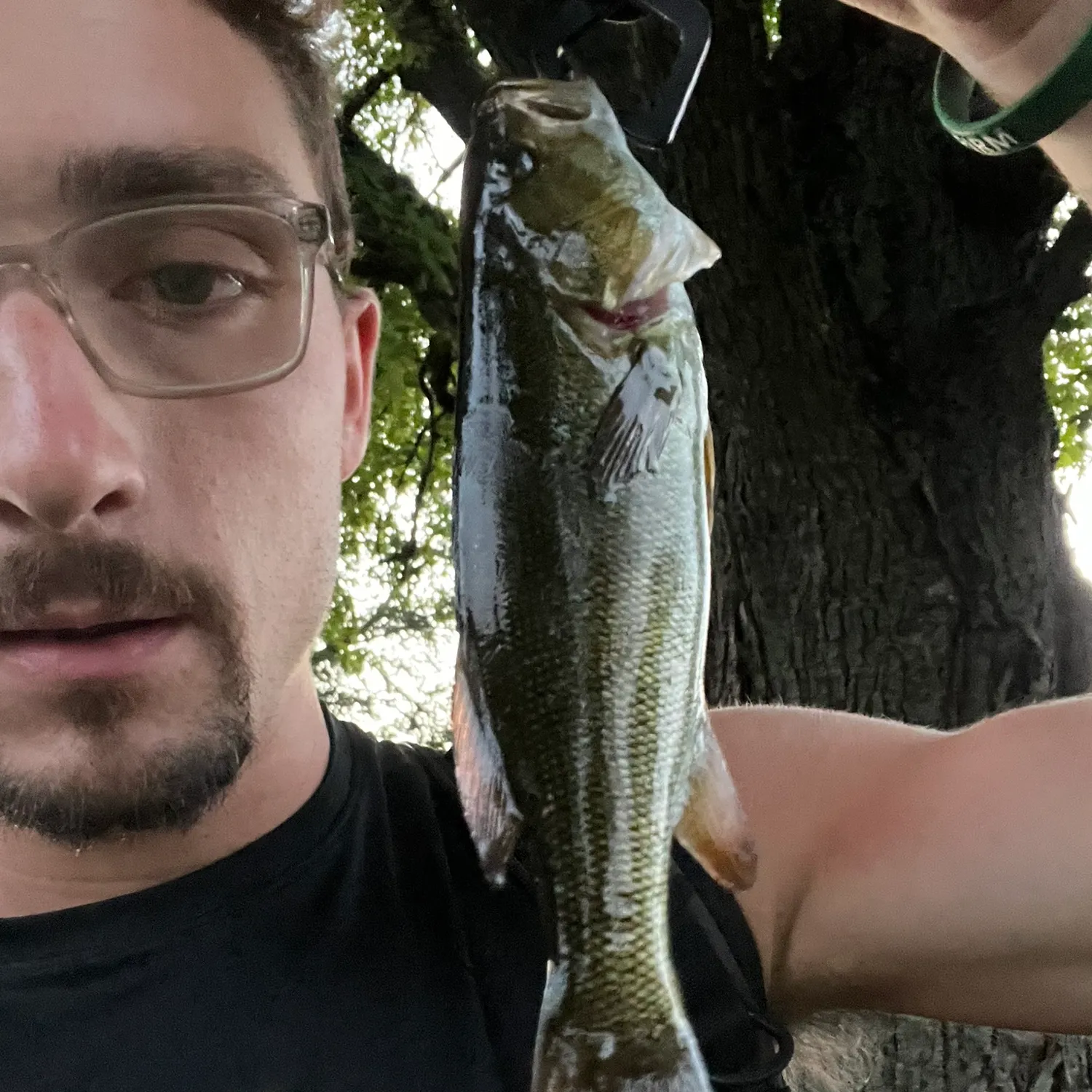 Smallmouth bass caught on Fishbrain