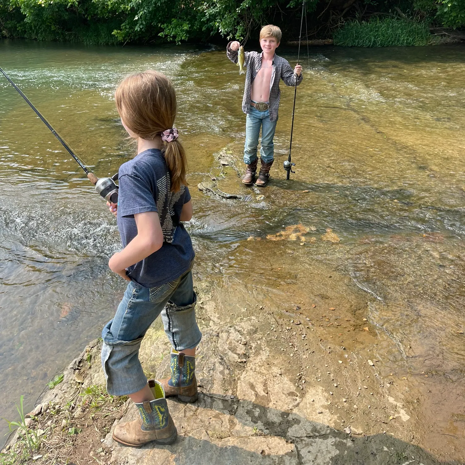 The most recent Alabama bass catches on Fishbrain