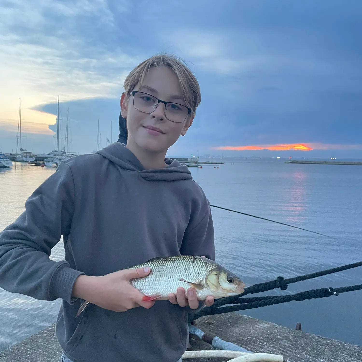 Ide caught on Fishbrain