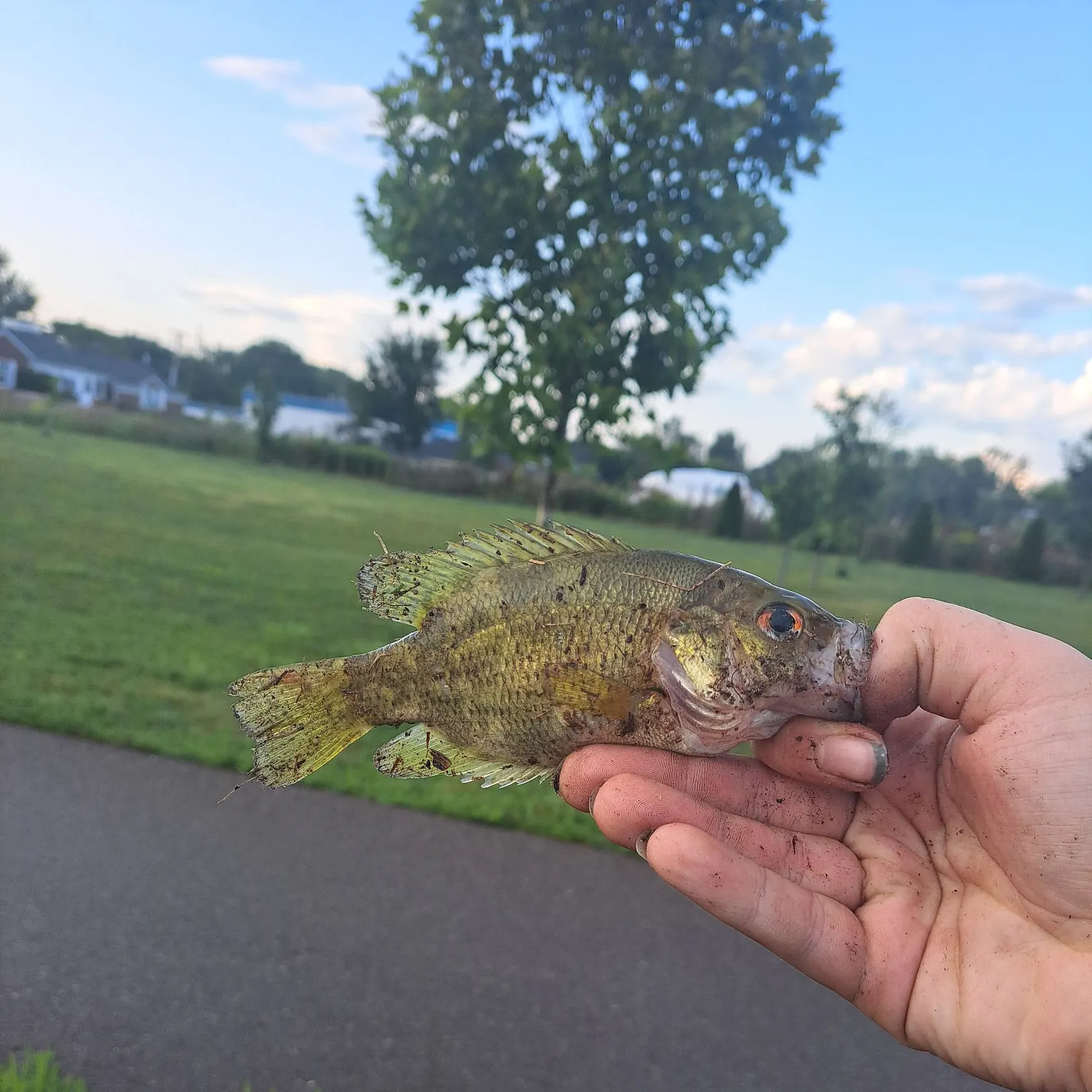 catch