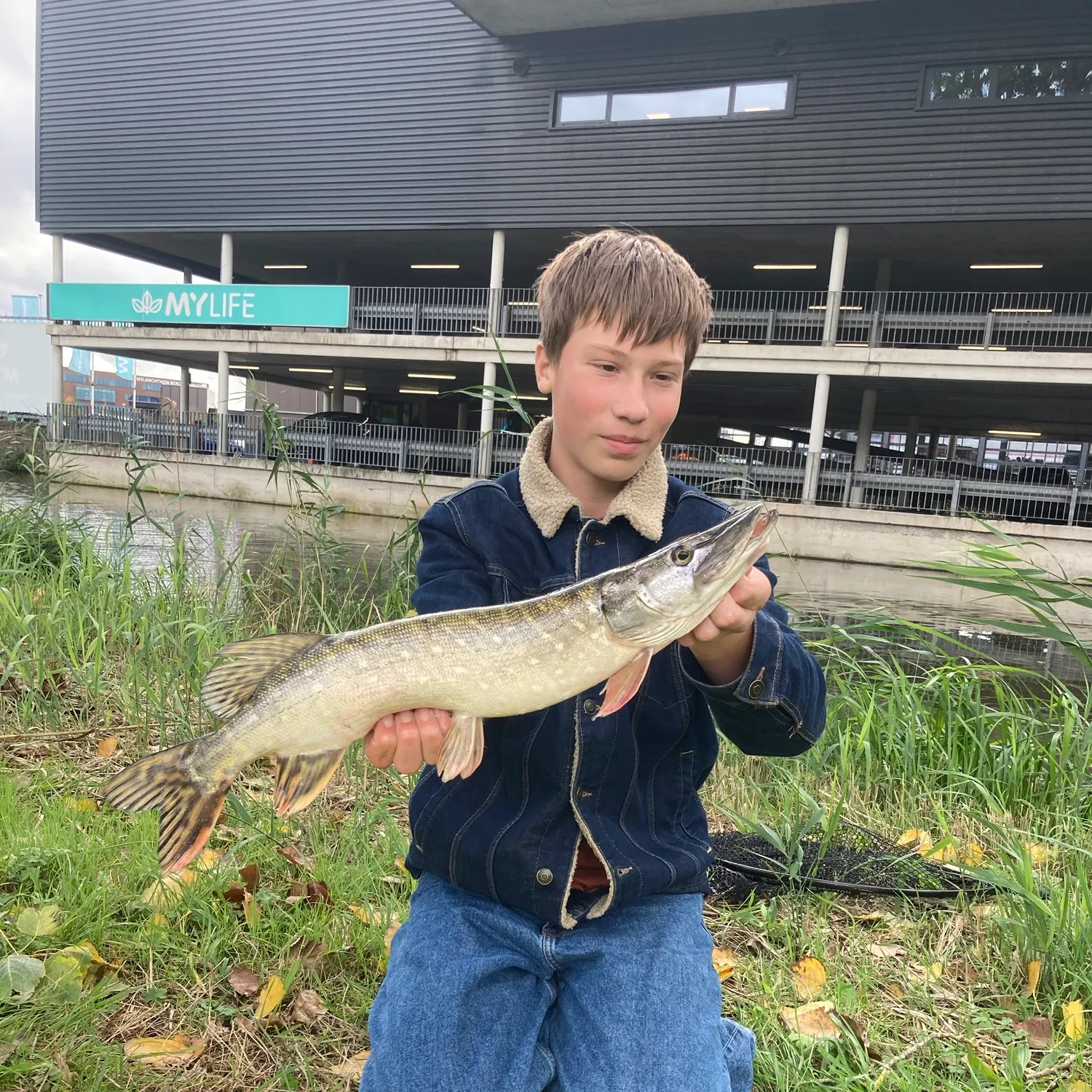 Northern pike caught on Fishbrain