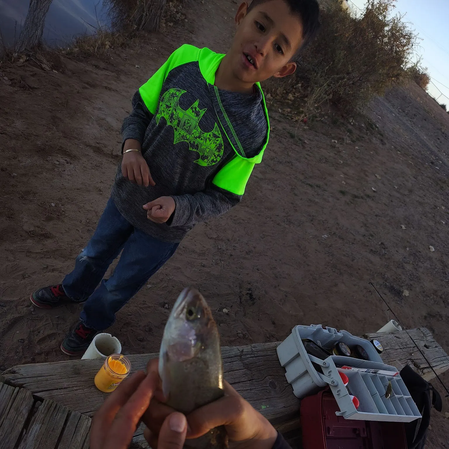 recently logged catches