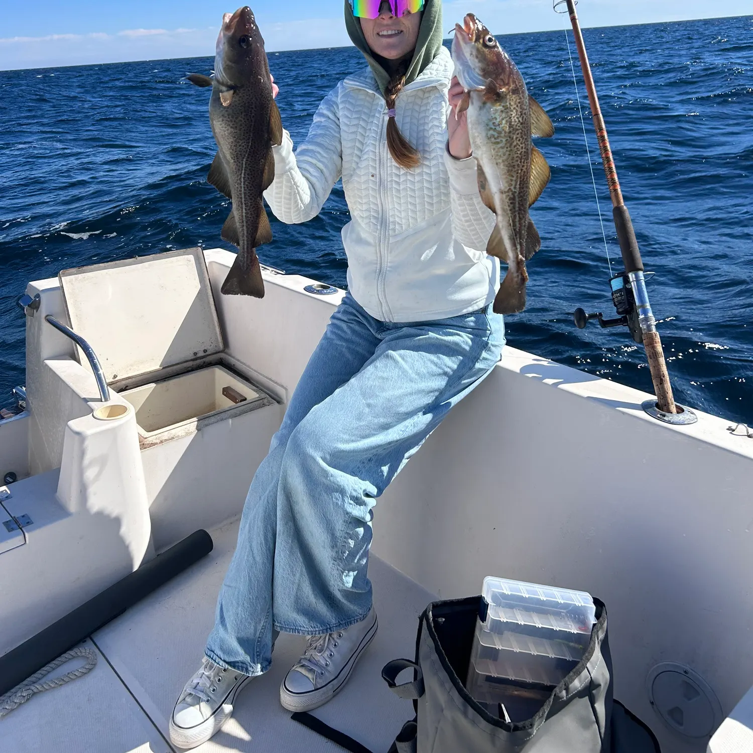Atlantic cod caught on Fishbrain