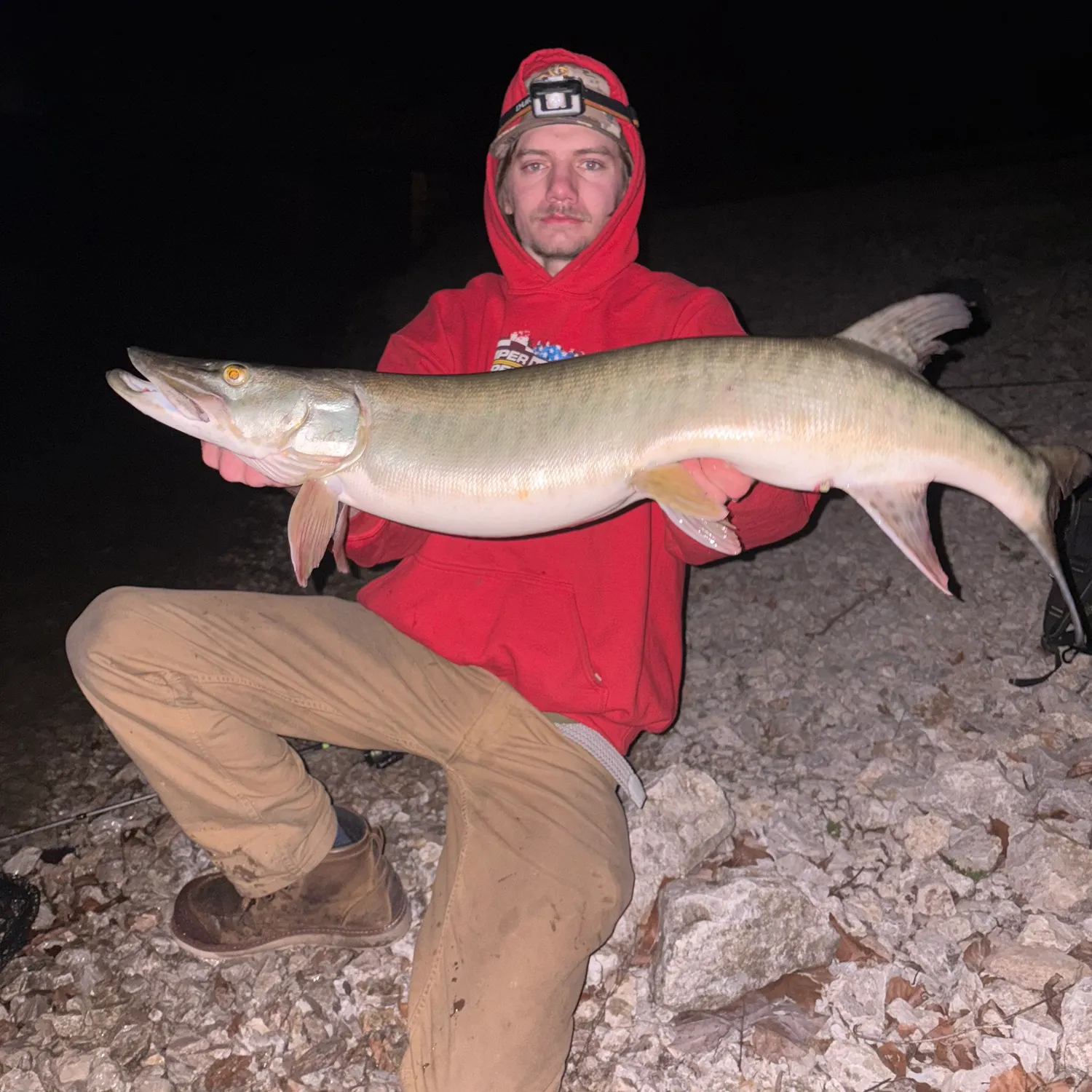 The most recent Muskellunge catches on Fishbrain