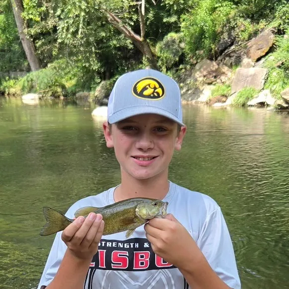 Smallmouth bass caught on Fishbrain
