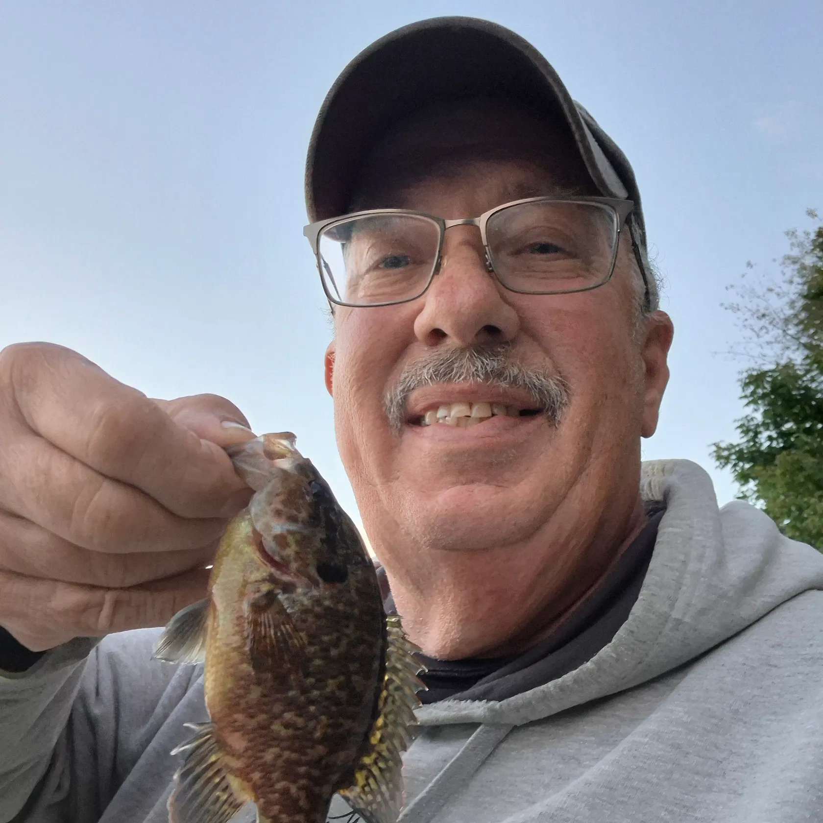 Warmouth caught on Fishbrain