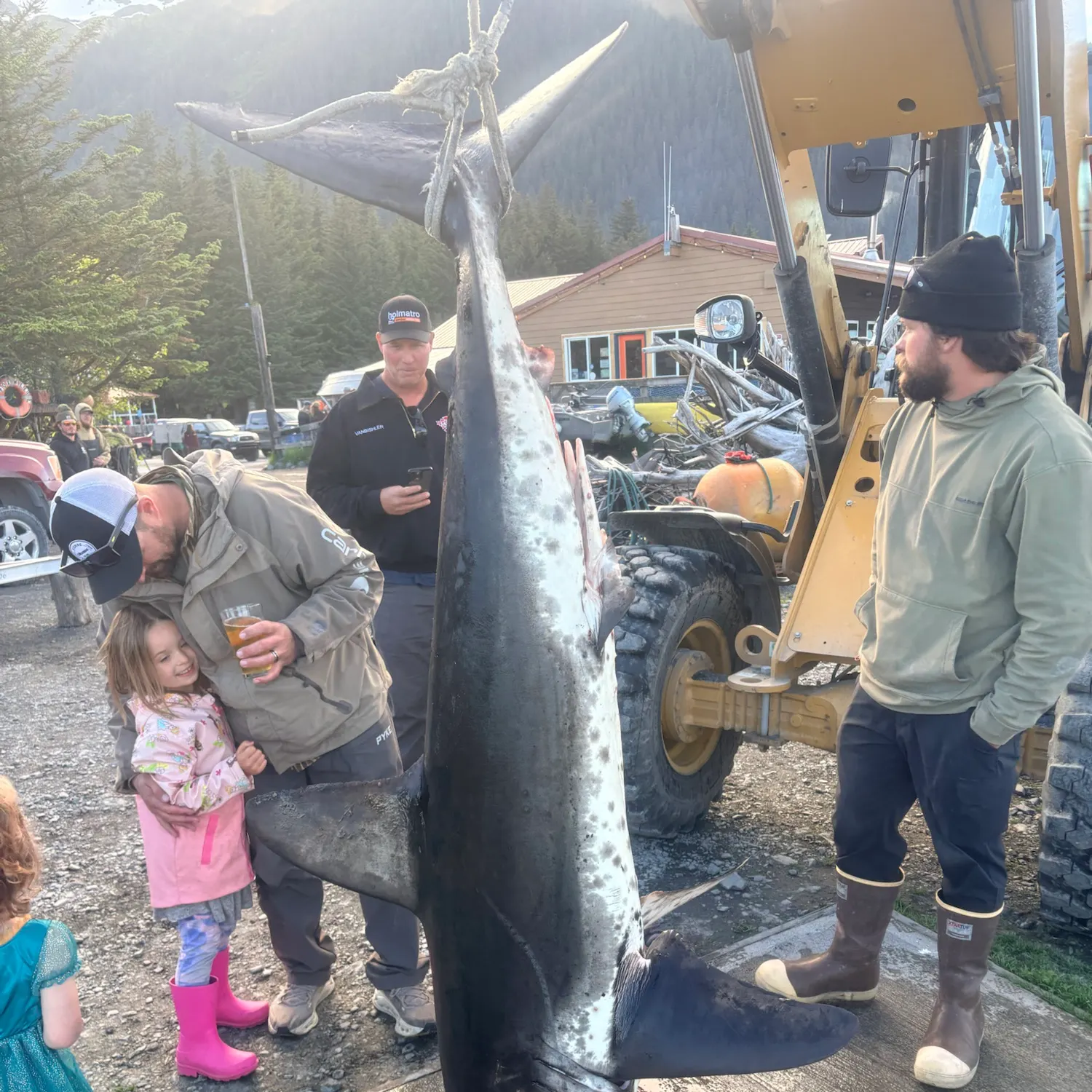 The most recent Salmon shark catches on Fishbrain