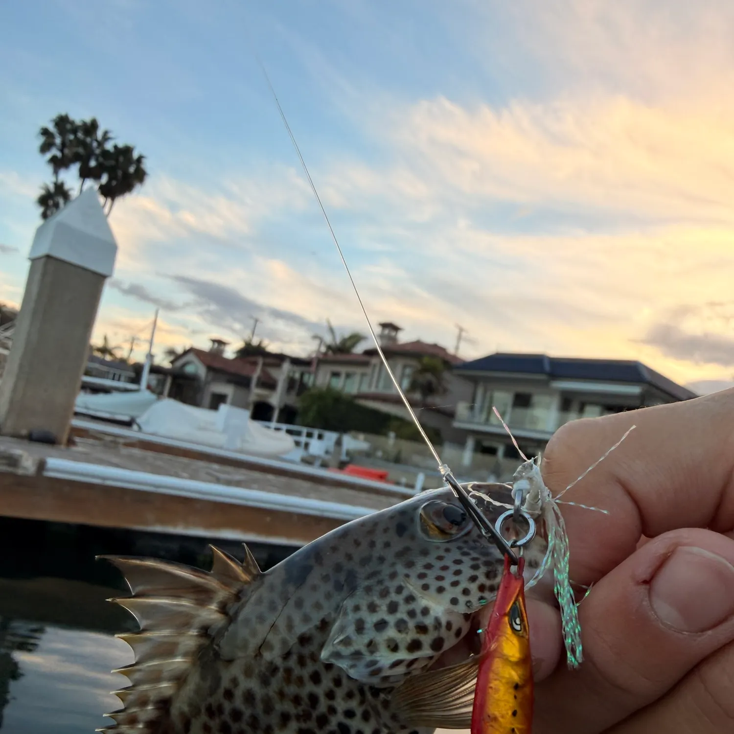 catch