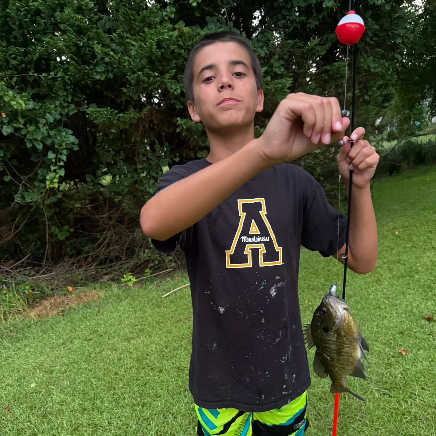 recently logged catches