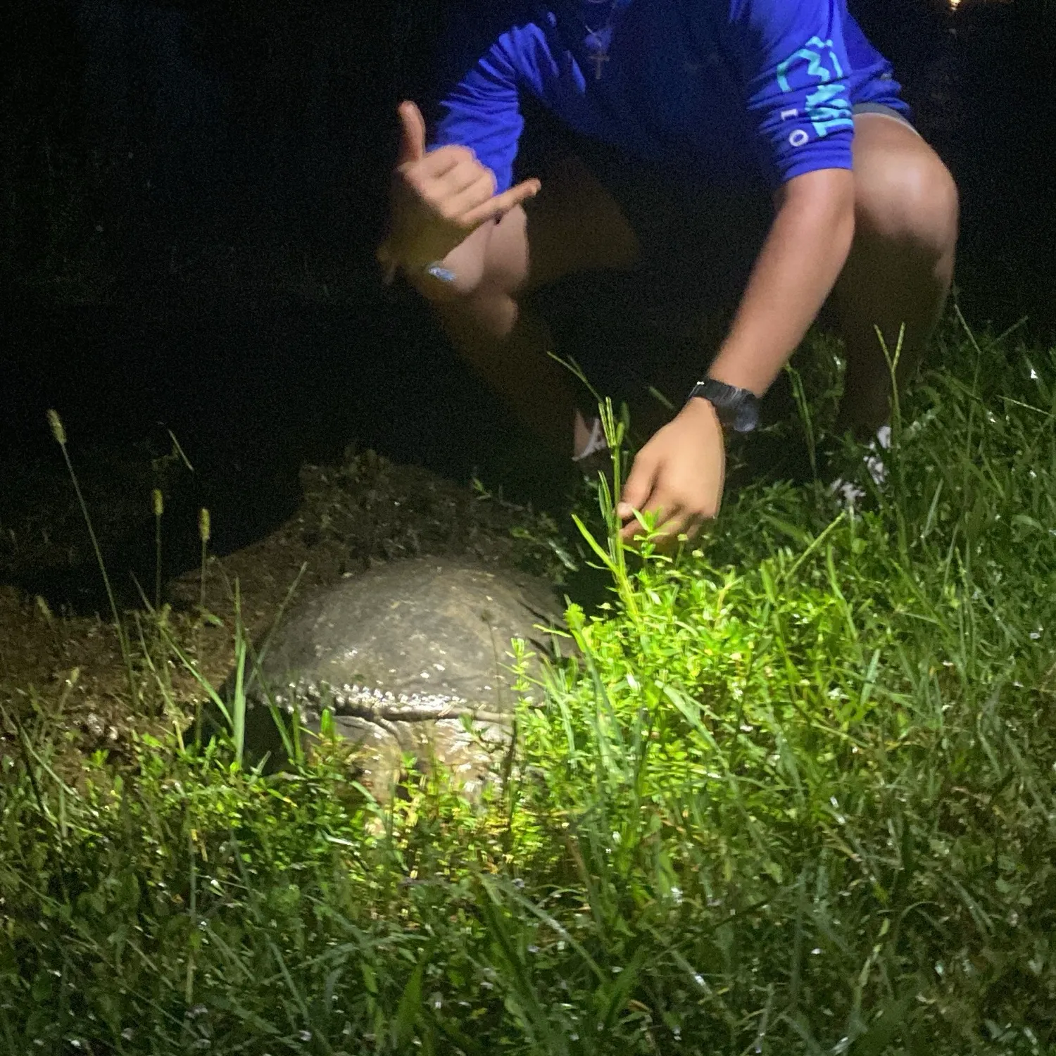 The most recent Common snapping turtle catches on Fishbrain
