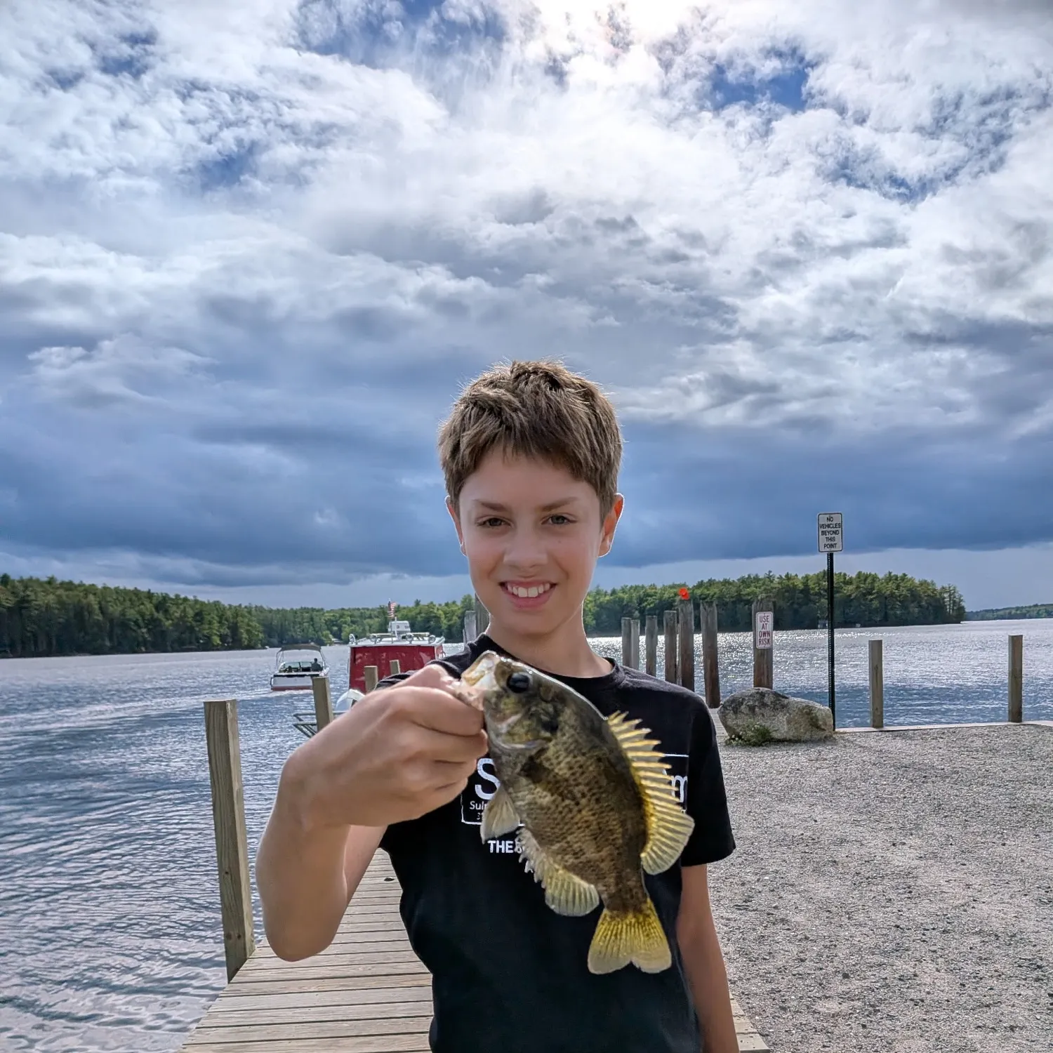 Rock bass caught on Fishbrain