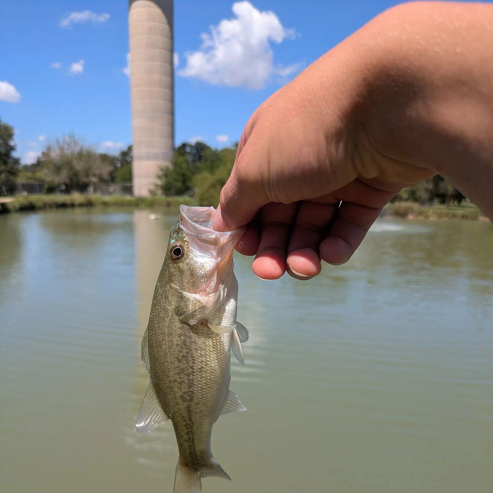 Fish caught on Fishbrain