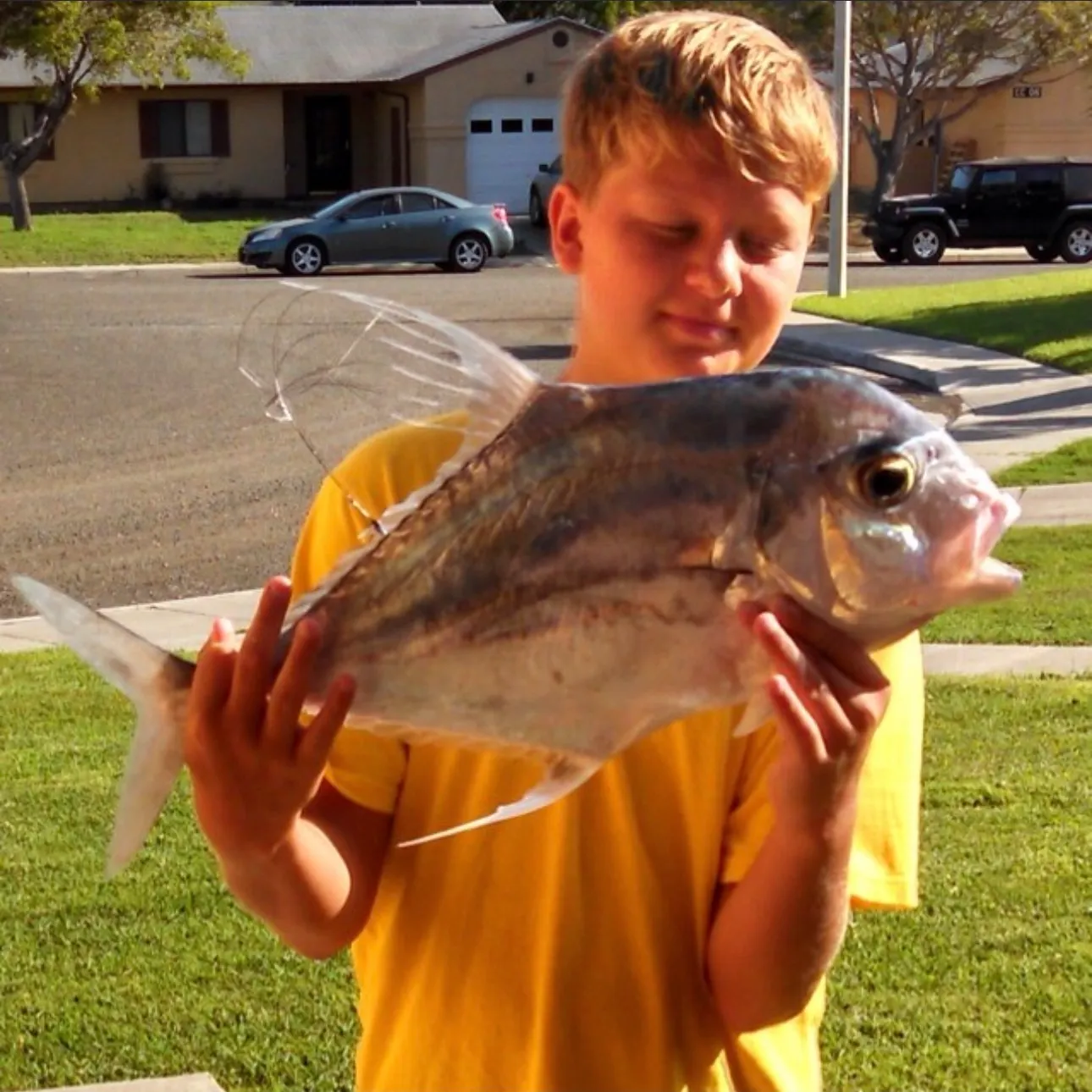 The most recent African pompano catches on Fishbrain