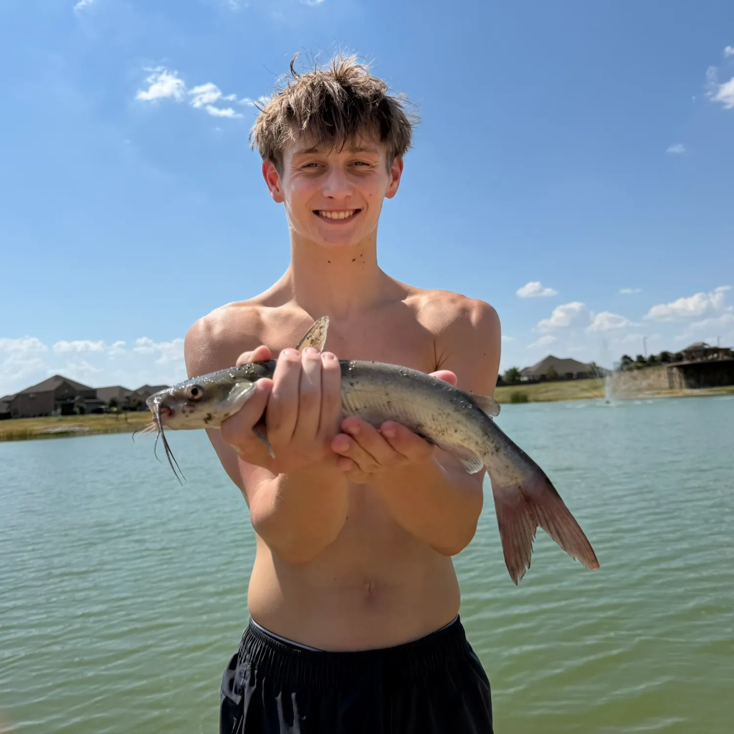 Channel catfish caught on Fishbrain