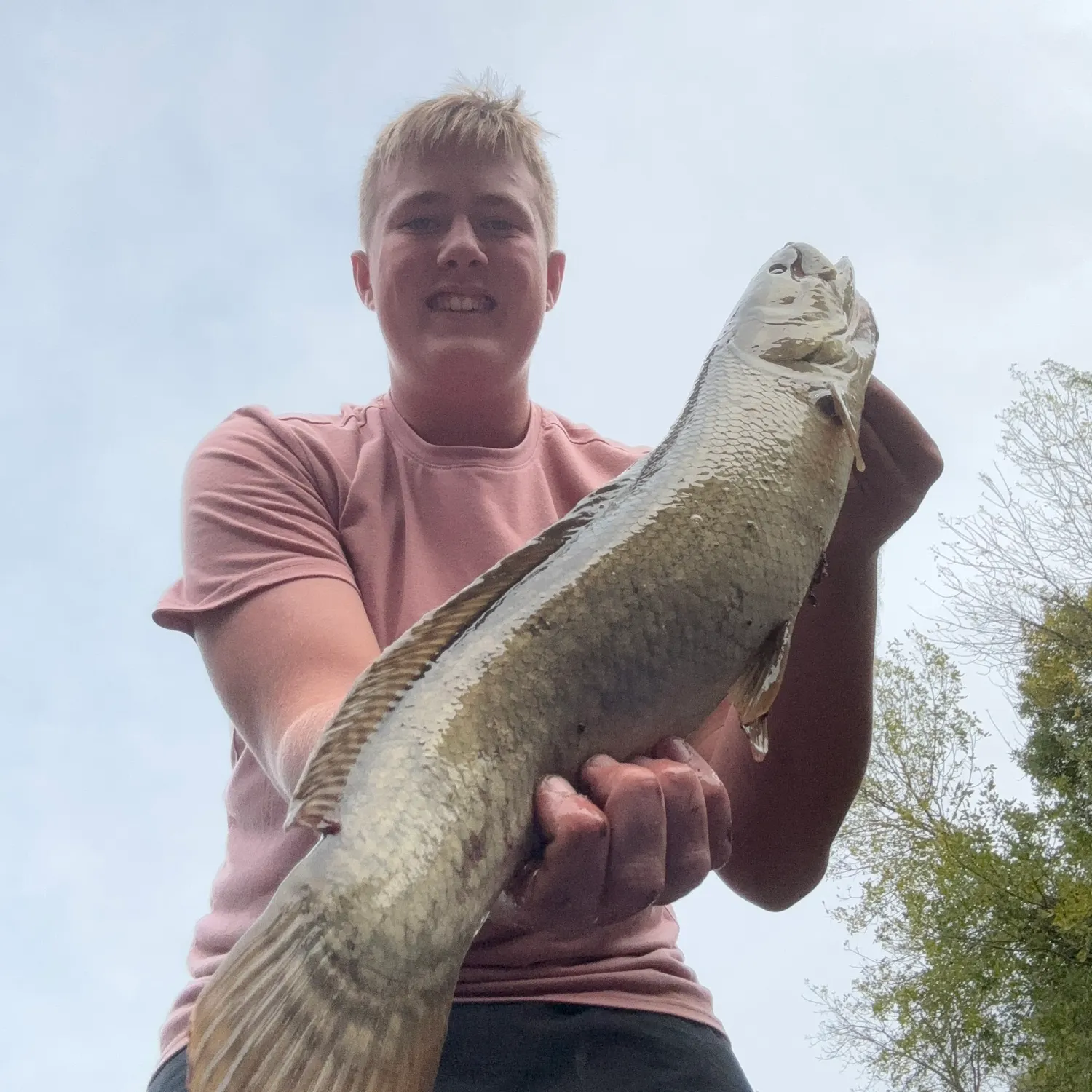 Eyetail bowfin caught on Fishbrain
