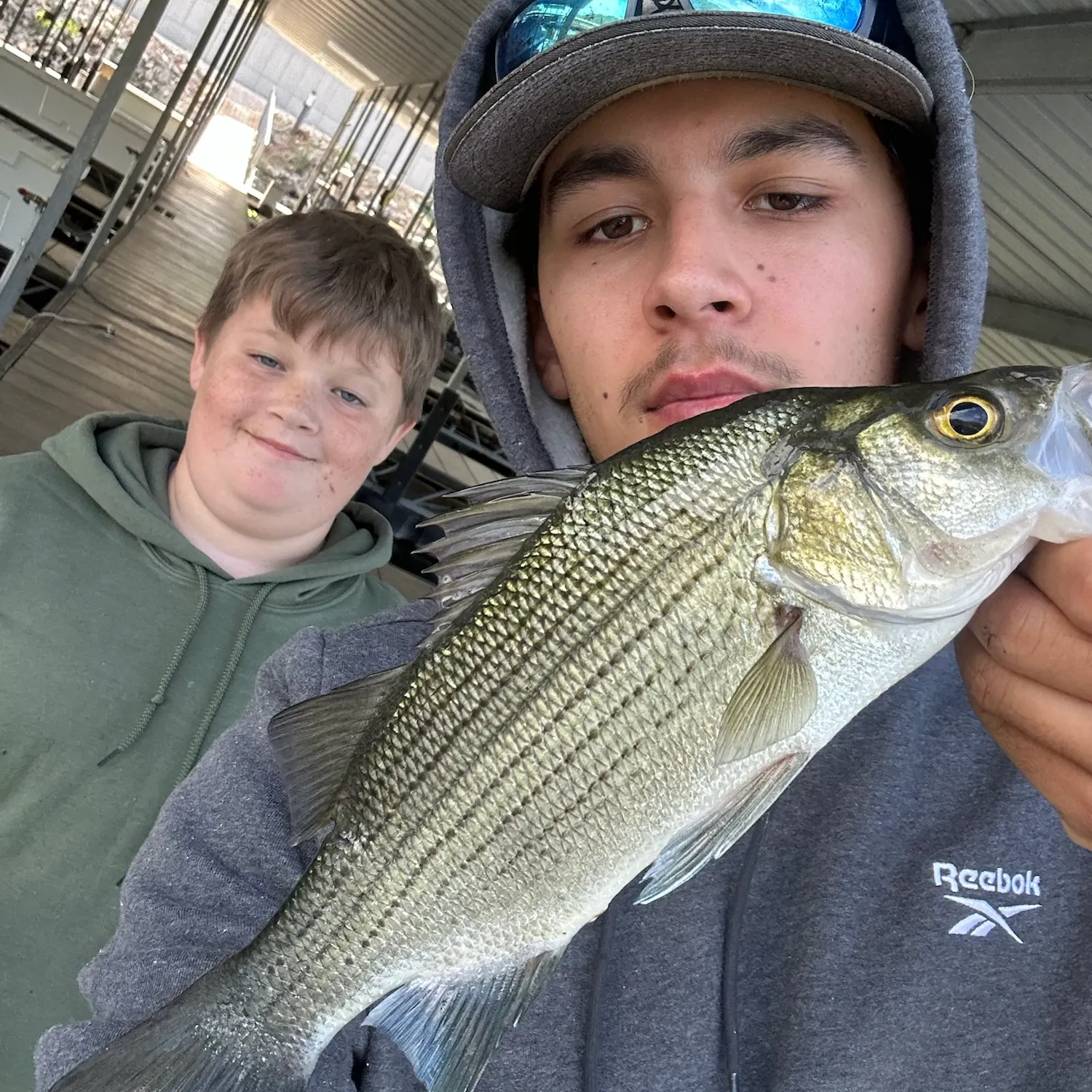 White bass caught on Fishbrain