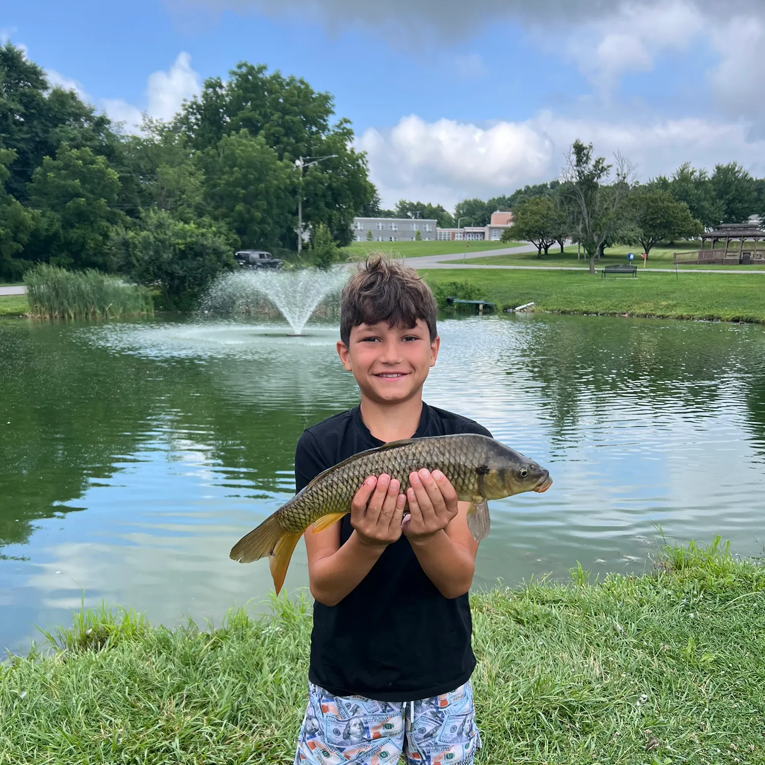 Common carp caught on Fishbrain