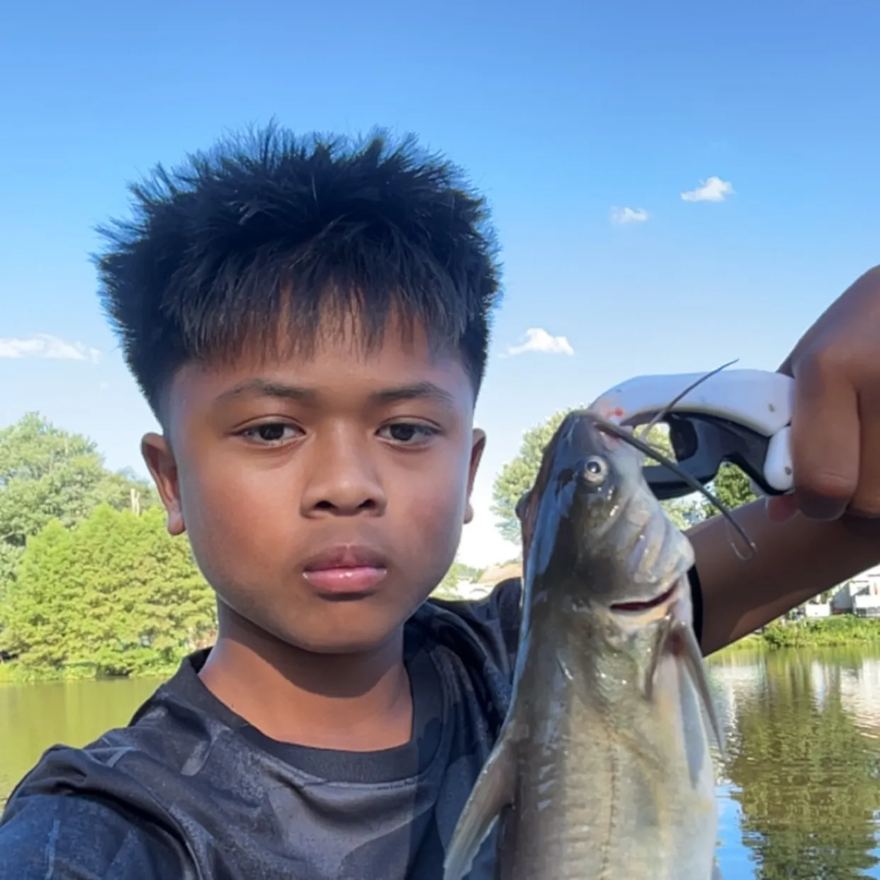 Channel catfish caught on Fishbrain