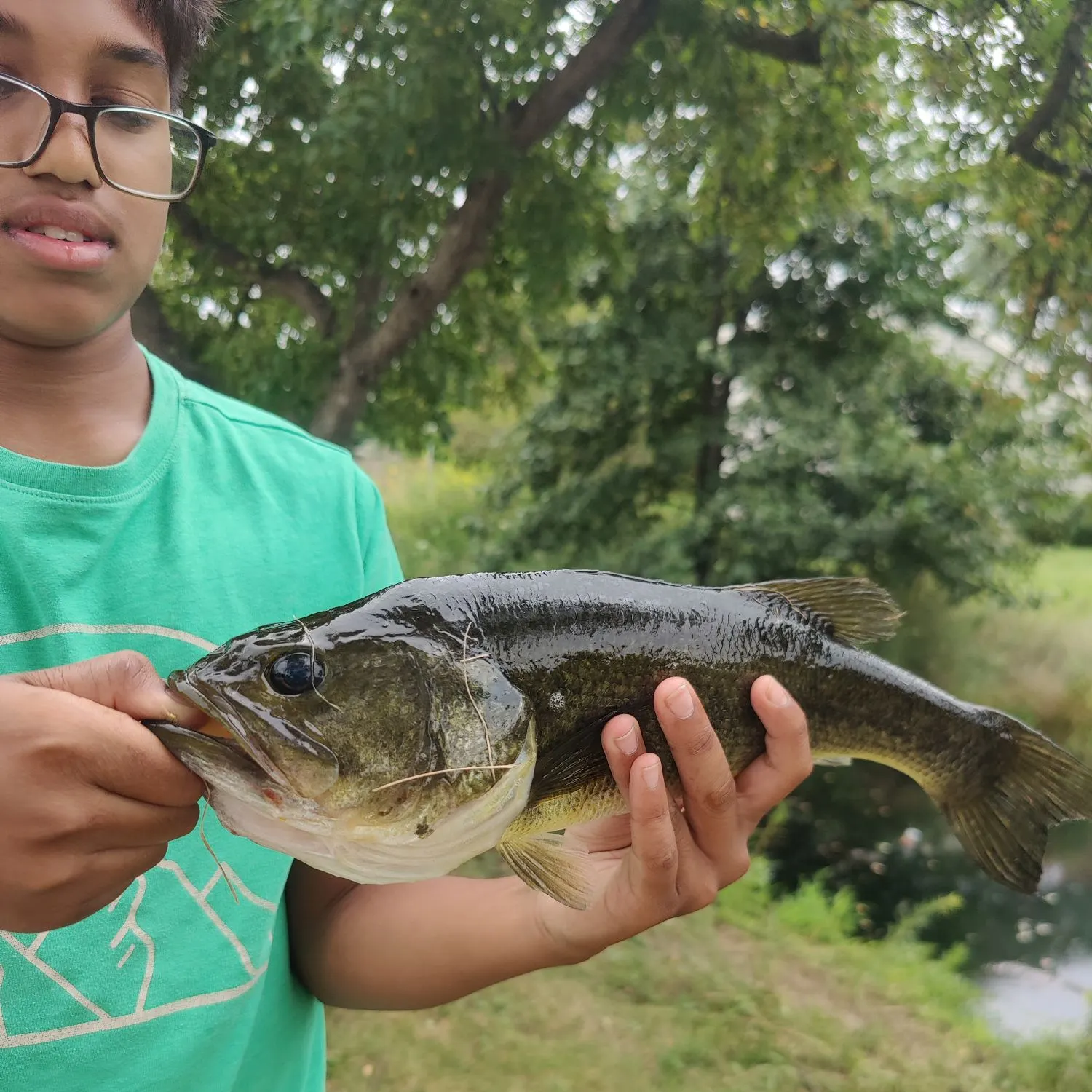 Largemouth bass caught on Fishbrain