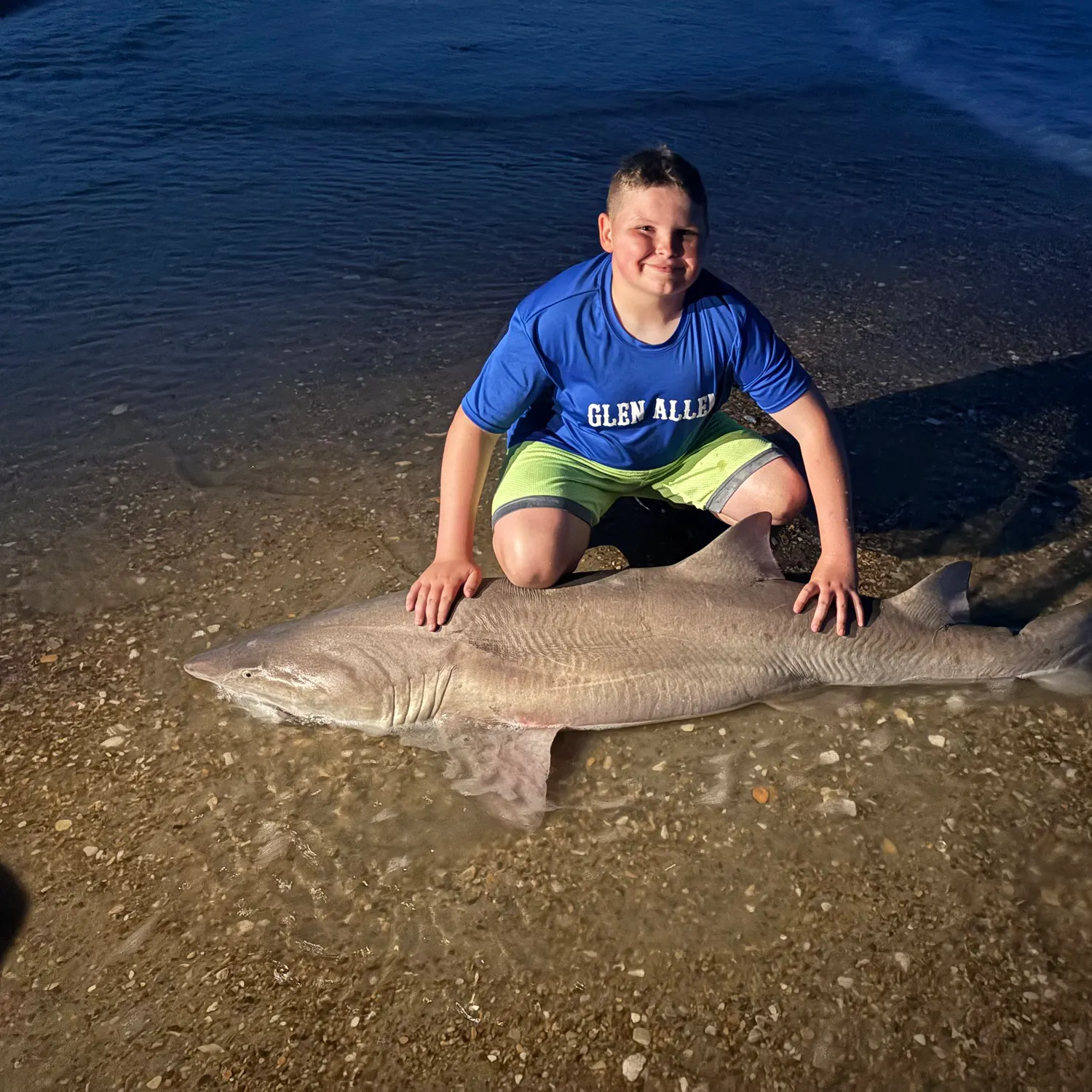 The most recent Sand tiger shark catches on Fishbrain